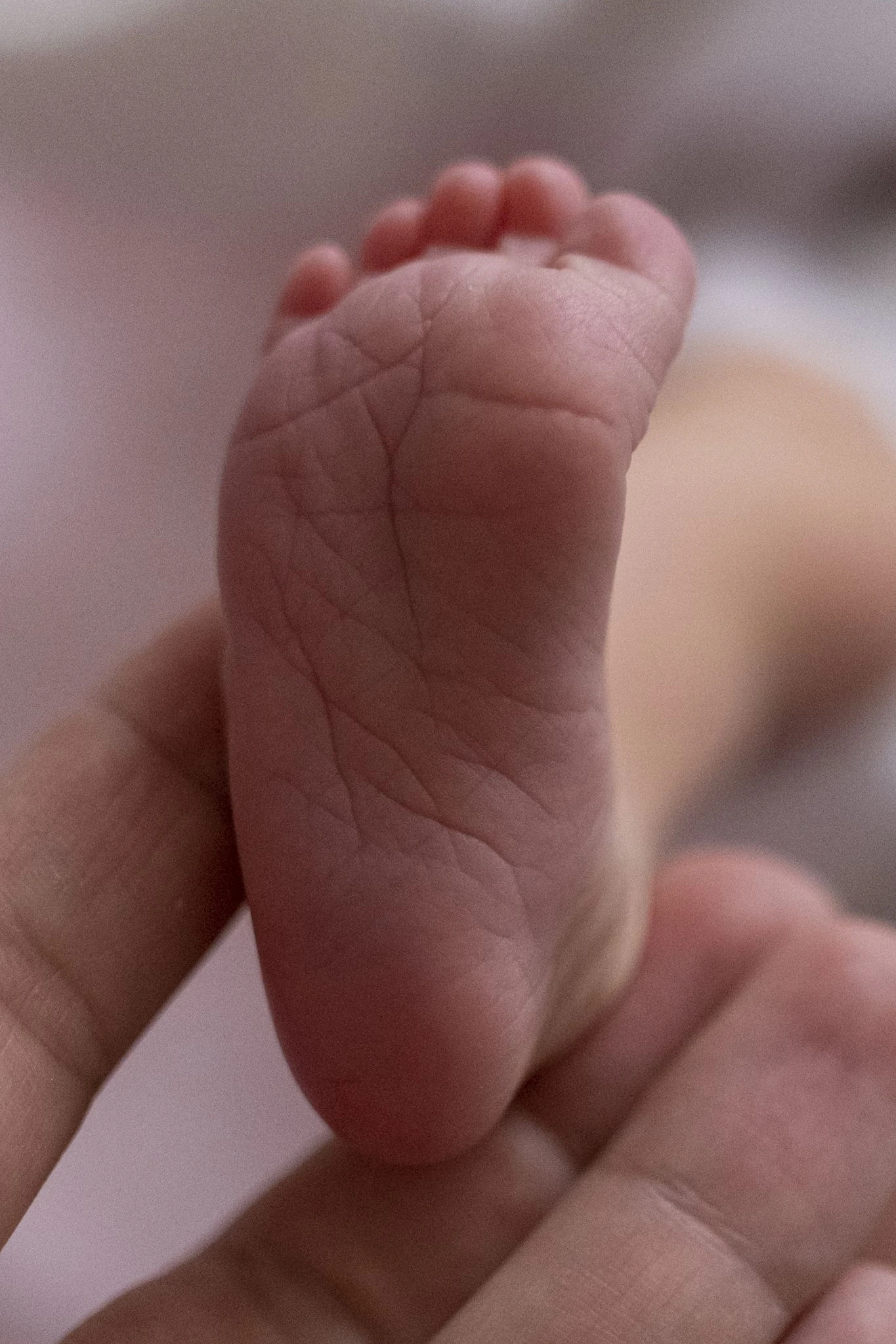Nach der Selbst-Optimierung kommt die Baby-Optimierung – zumindest, wenn es nach diversen Start-ups geht