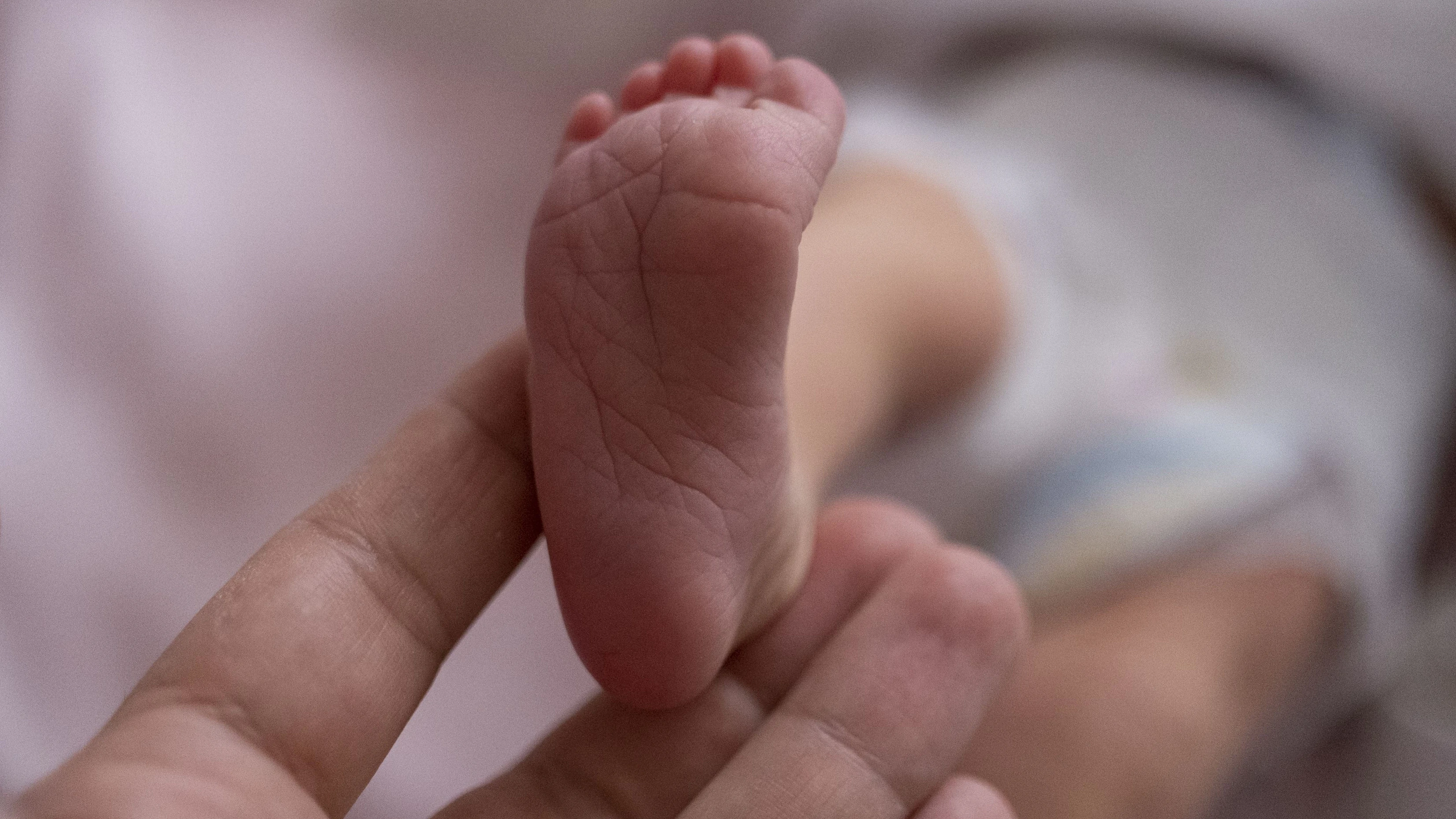 Embryonal-Diagnostik soll künftig alle Risiken ausschließen