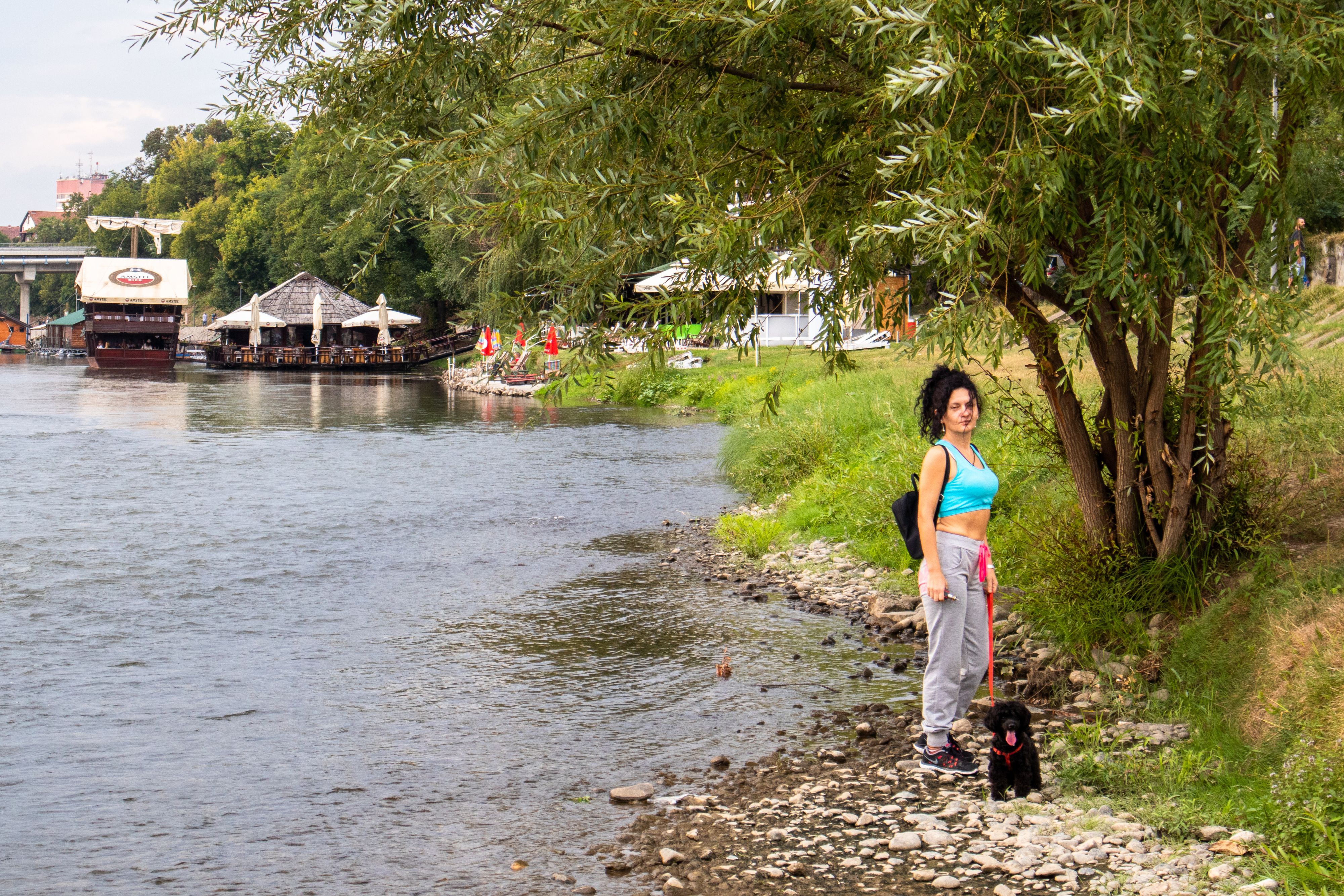 Eine Frau geht mit einem Zwergpudel am Fluss Ibar in Kraljevo, Serbien, spazieren.
