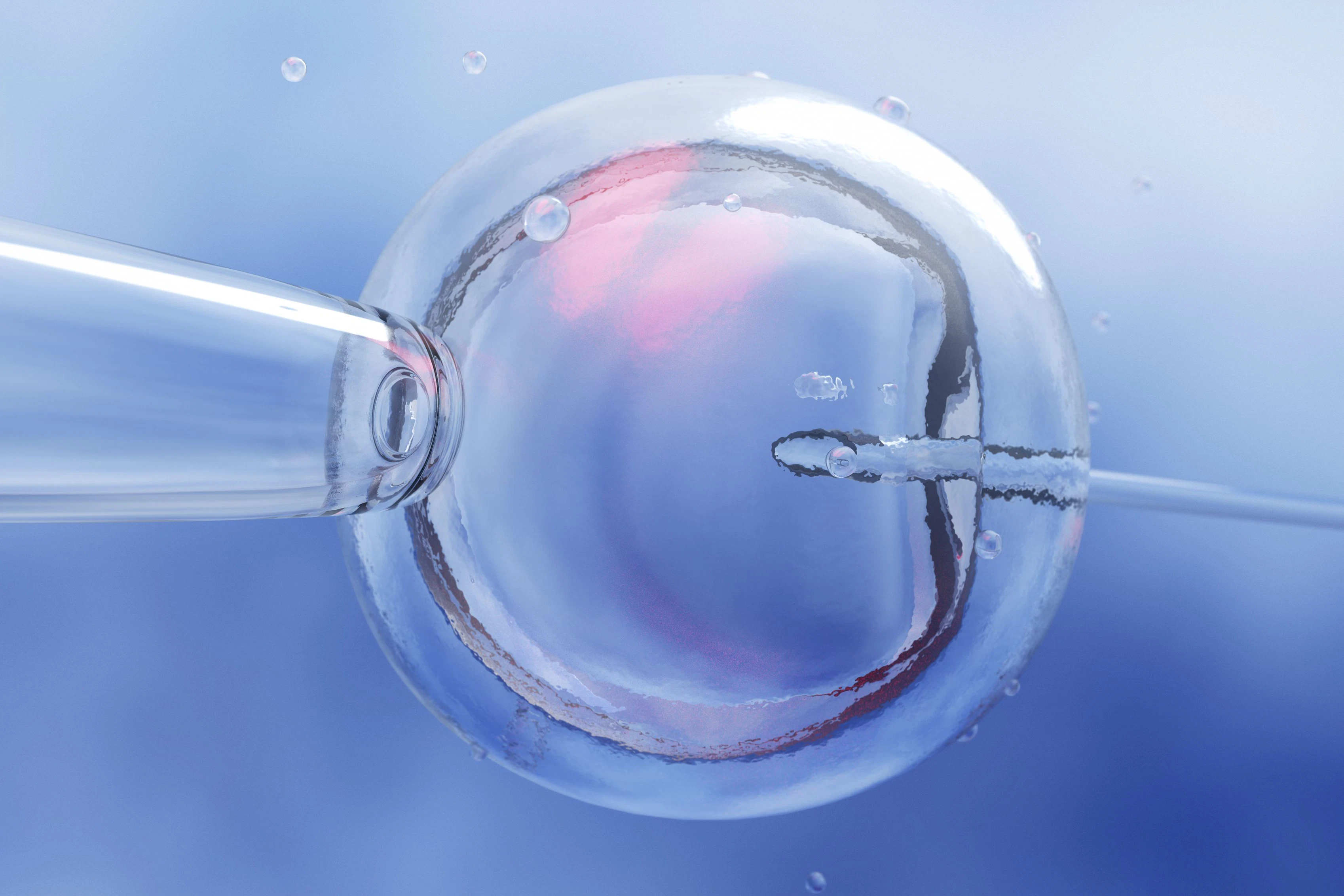 Wenn schon IVF, dann gleich alle Möglichkeiten der Technik nutzen, sagen sich viele Eltern
