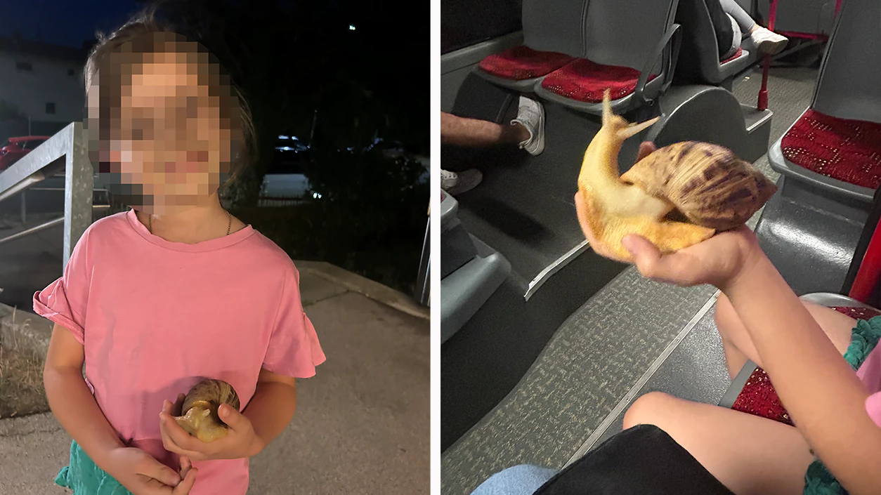 Heute.at - Gary auf Wien-Tour: Schnecke fährt mit Bus zum Tichy