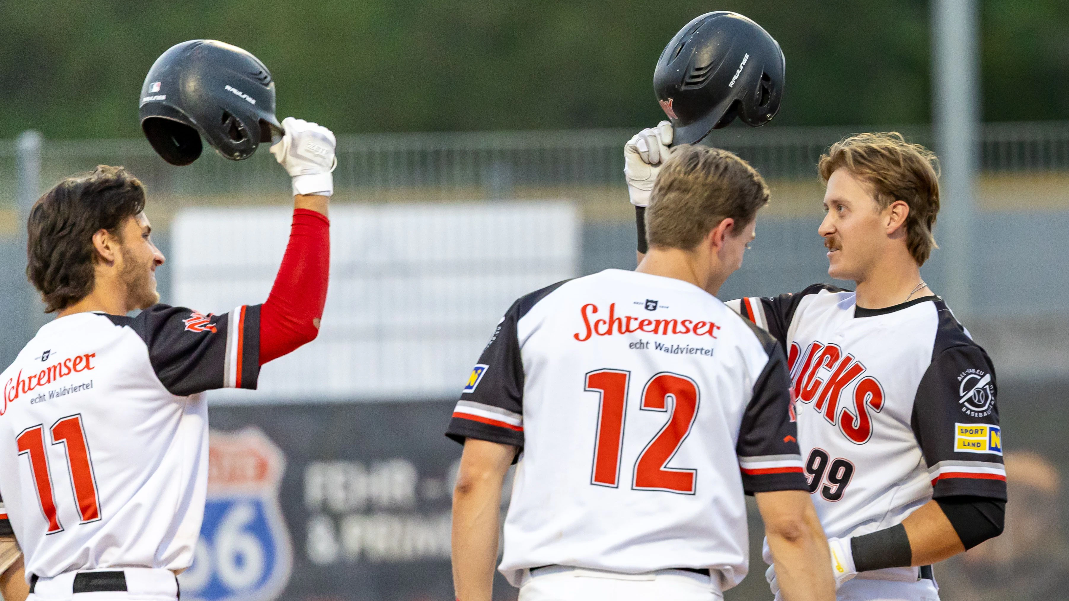 Heute.at - Baseball: NÖ-Diving Ducks schwimmen auf Erfolgswelle