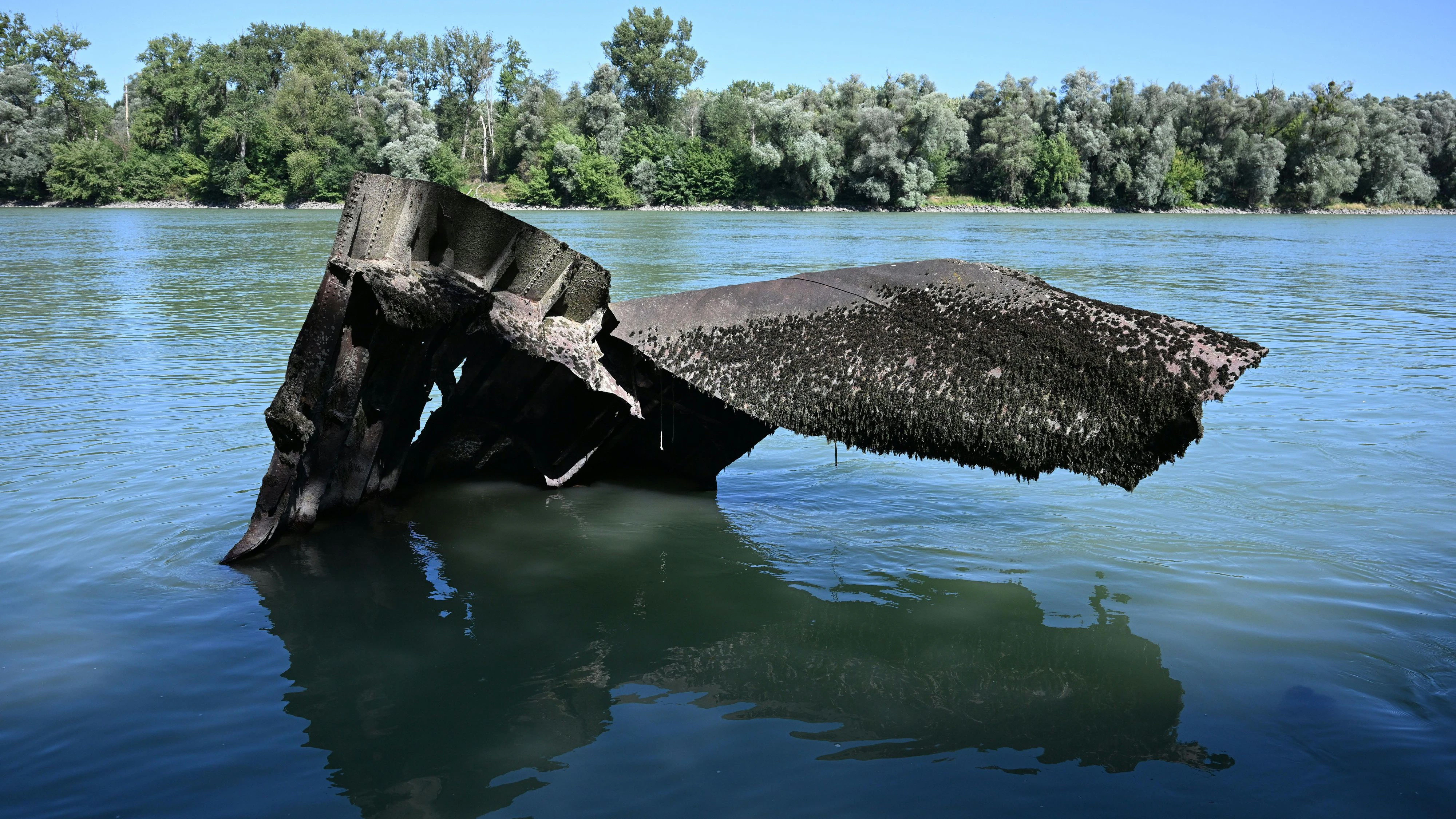 Heute.at - Niedrigwasser legt zwei Kriegsschiffe in der Donau frei