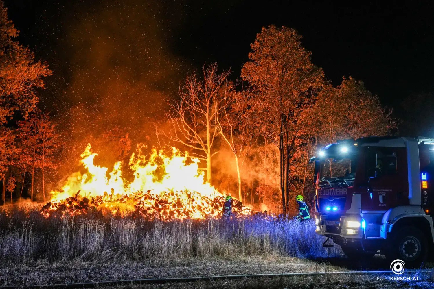 Der Holzhaufen brannte lichterloh im Wald.