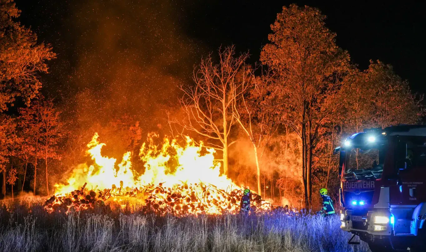 Heute.at - Meterhohe Flammen! Große Menge Holz brennt in Wald ab