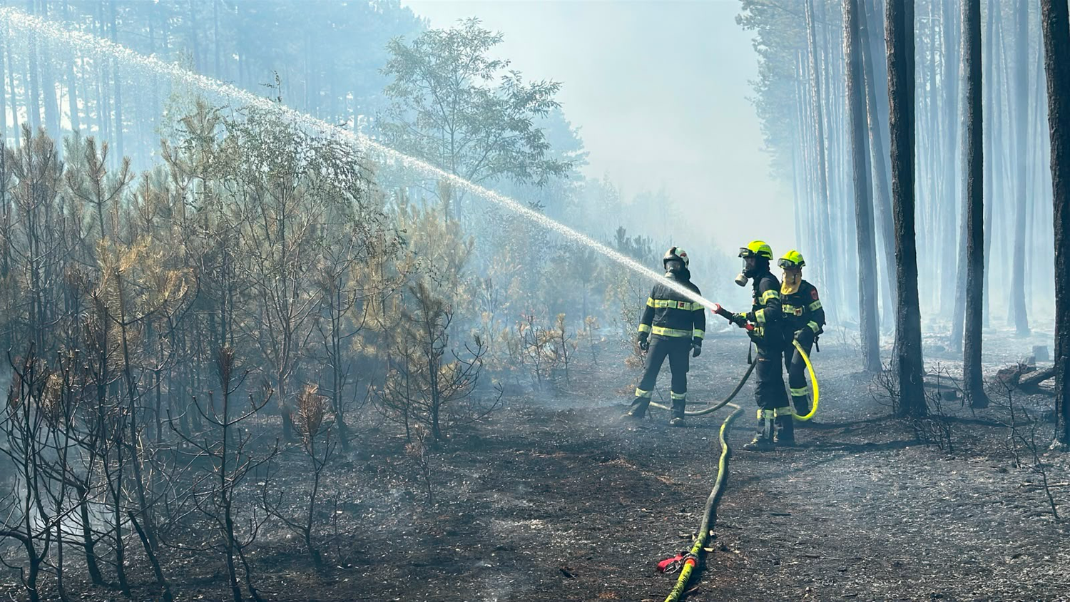 Seit Samstagfrüh wütet ein großer Waldbrand im Föhrenwald in St. Egyden.