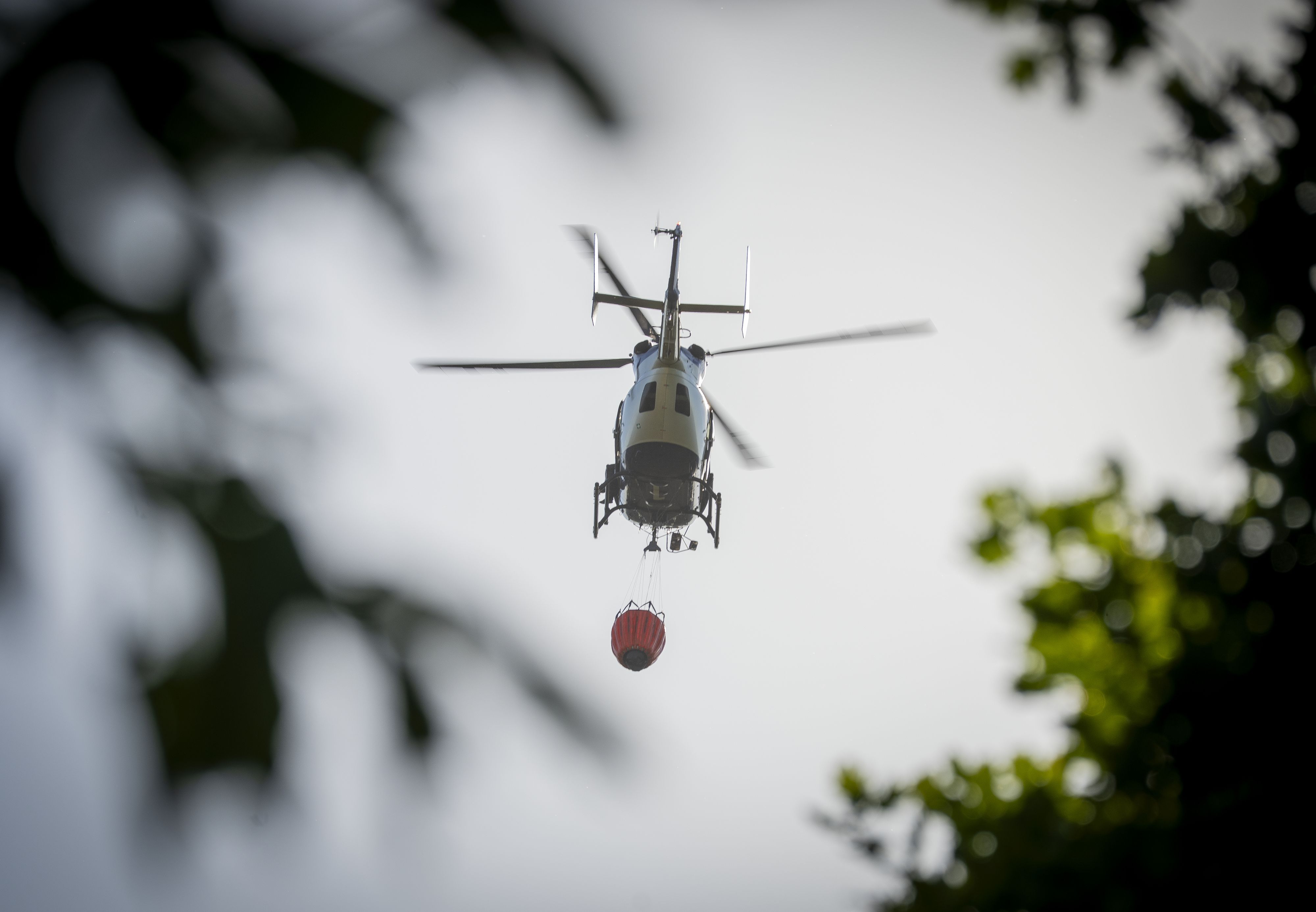 Die Feuerwehr steht im Großeinsatz. (Symbolbild)