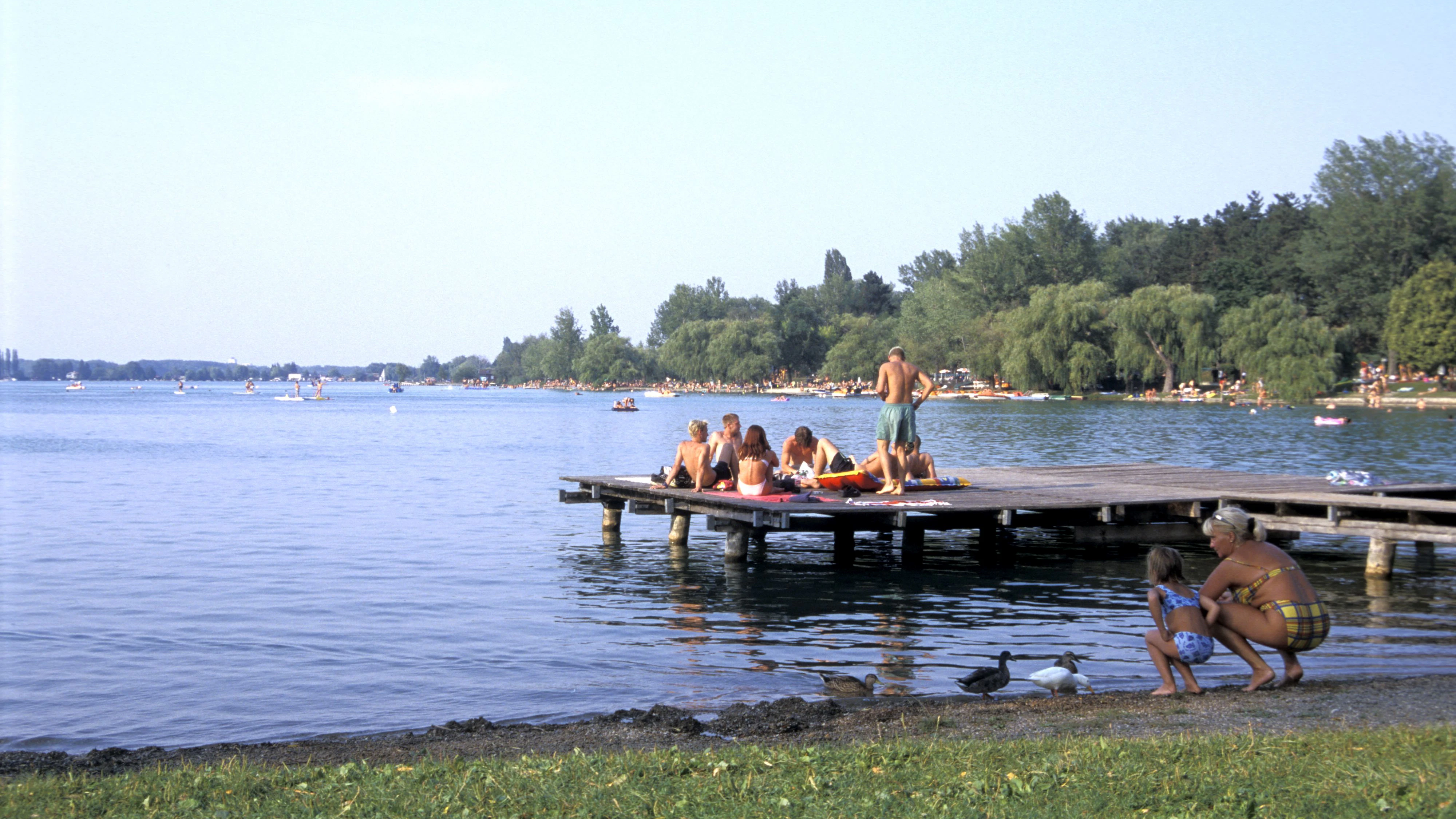 Heute.at - Mann (20) geht im Neufelder See unter, ist sofort tot