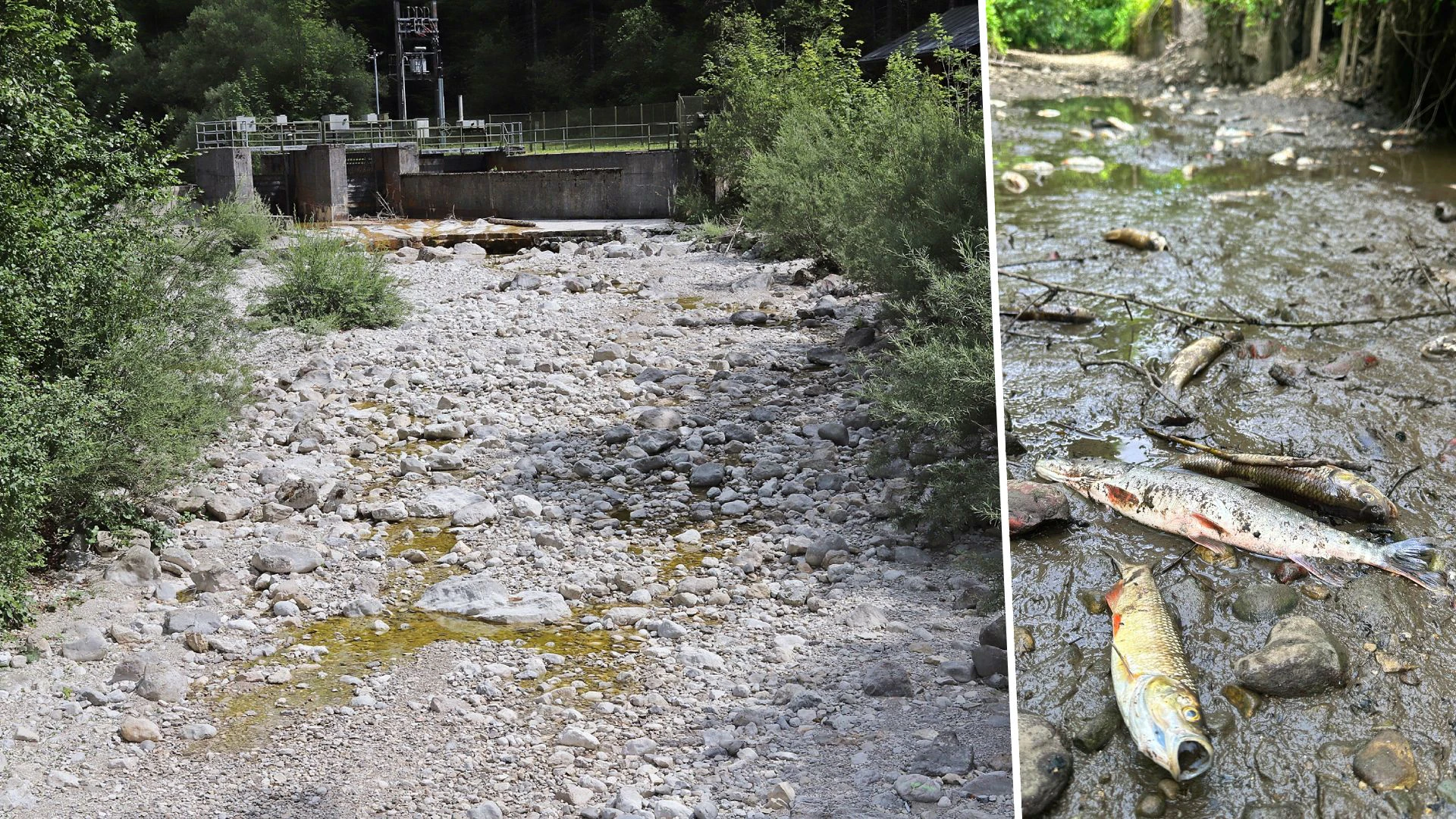 Heute.at - Grundwasser sinkt – so viel Wasser fehlte heuer schon