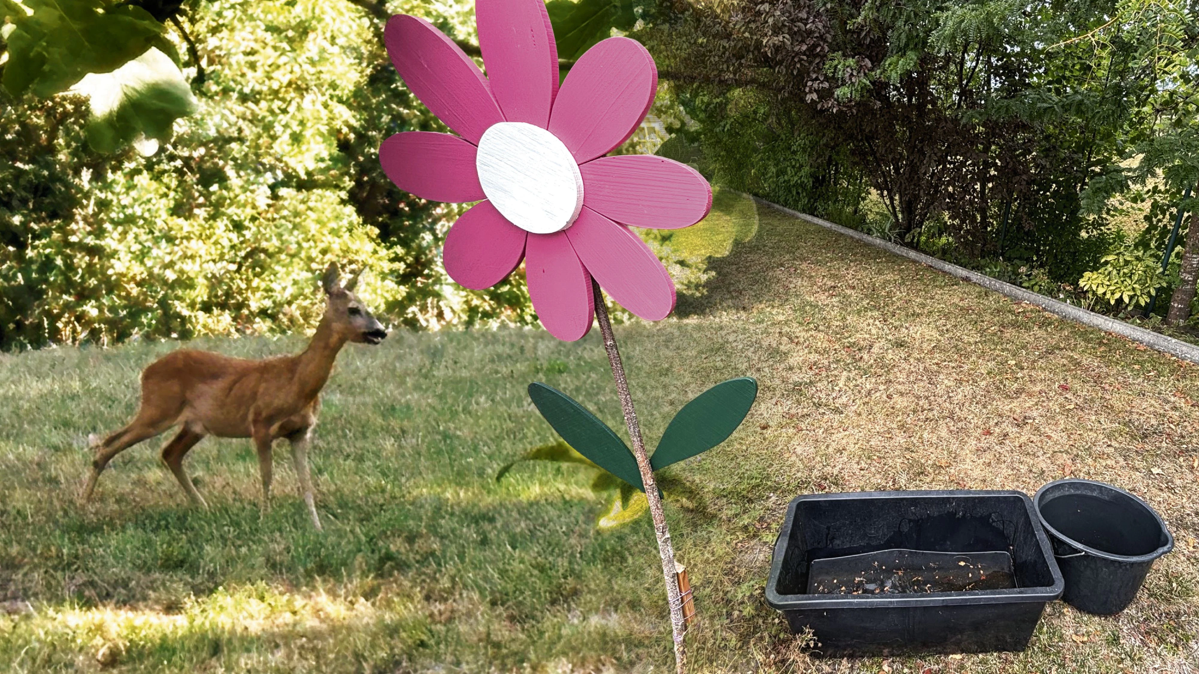 Heute.at - Lebensgefahr: Abgemagerte Rehe suchen Wasser und Futter