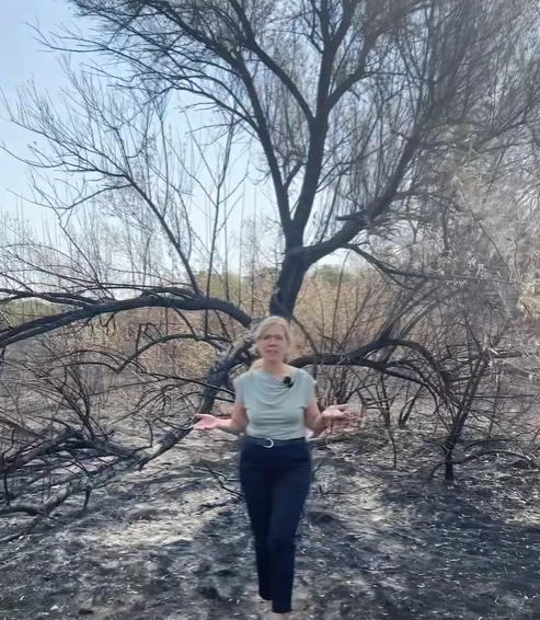 Grünen-Chefin Leonore Gewessler inmitten einer von Feuer gezeichneten Landschaft.