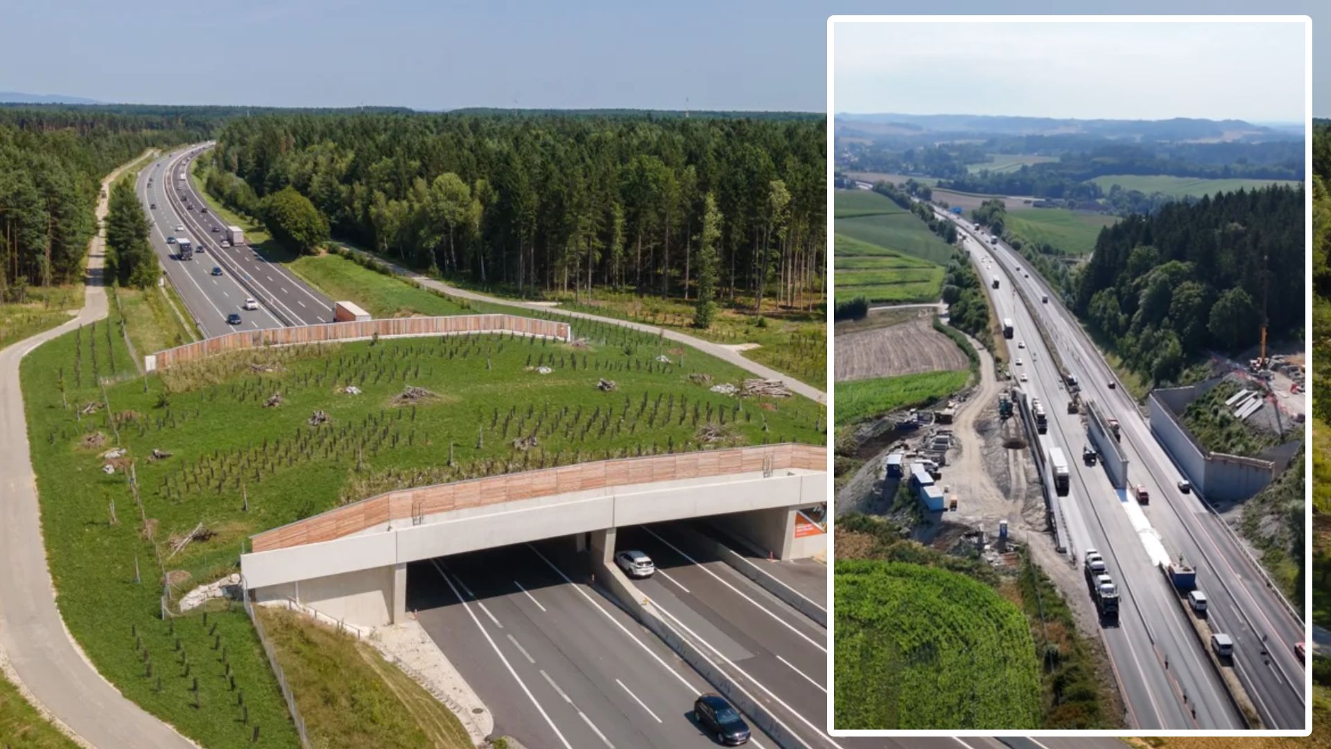 Eine Grünbrücke soll bei Aistersheim künftig für mehr Sicherheit für die Tierwelt sorgen.