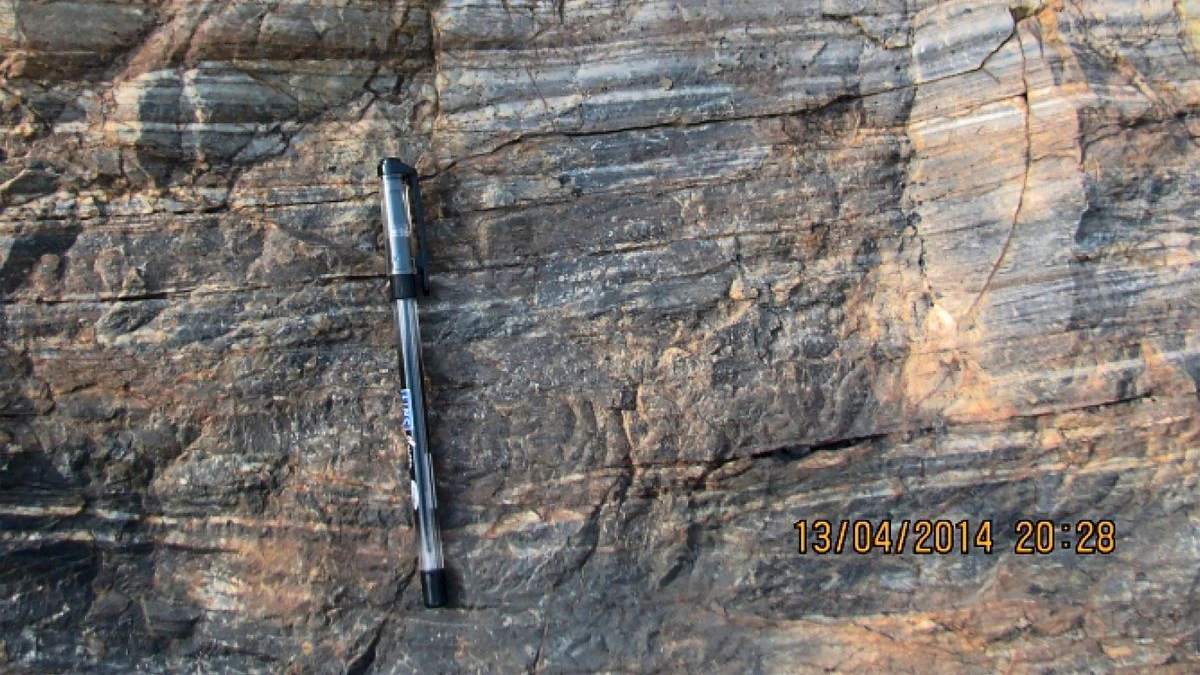 Diese dunklen Streifen im Gestein bestehen aus Kohlenstoff biologischem Ursprungs.
