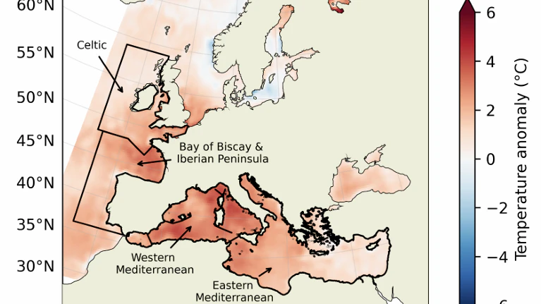 Anomalien (d. h. Abweichungen vom Normalwert) der Meeresoberflächentemperaturen im Juli 2026 rund um Europa im Vergleich zum klimatologischen Durchschnitt für Juli im Zeitraum 1990–2020.