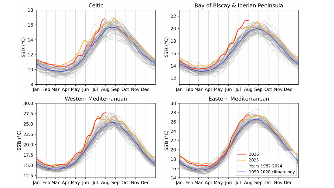 14-Tage-Mittelwerte der Meeresoberflächentemperaturen (SST) für jede Region für alle Jahre im NOAA-OISST-Datensatz. Alle Jahre sind grau dargestellt, wobei der klimatologische Mittelwert für 1990–2020 blau, die Temperaturen für 2025 orange und die für 2026 rot dargestellt sind.