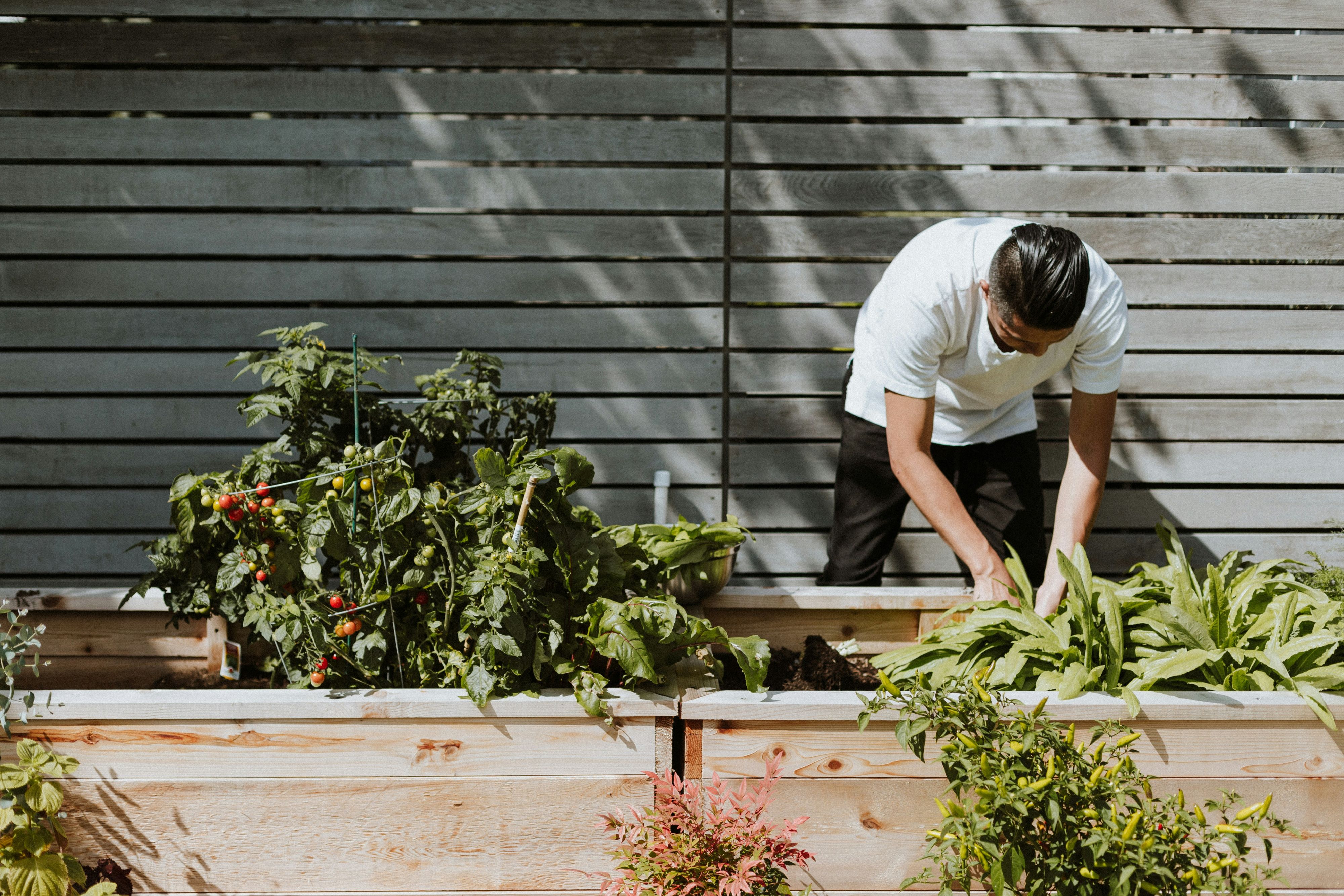 Manches gehört einfach nicht ins Beet.