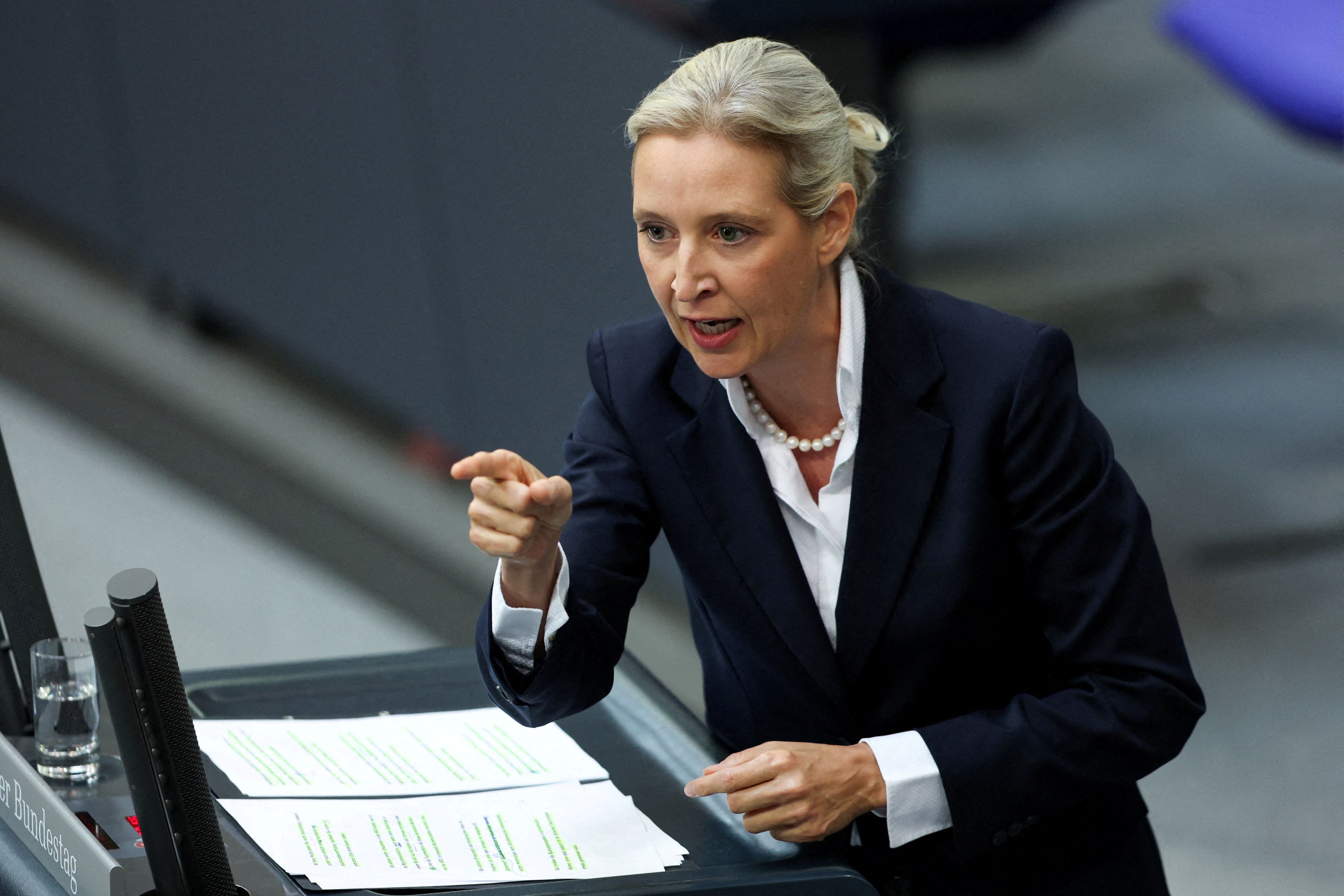 Alice Weidel unterstützt einen Vorschlag, den Verfassungsschutz abzuschaffen. 