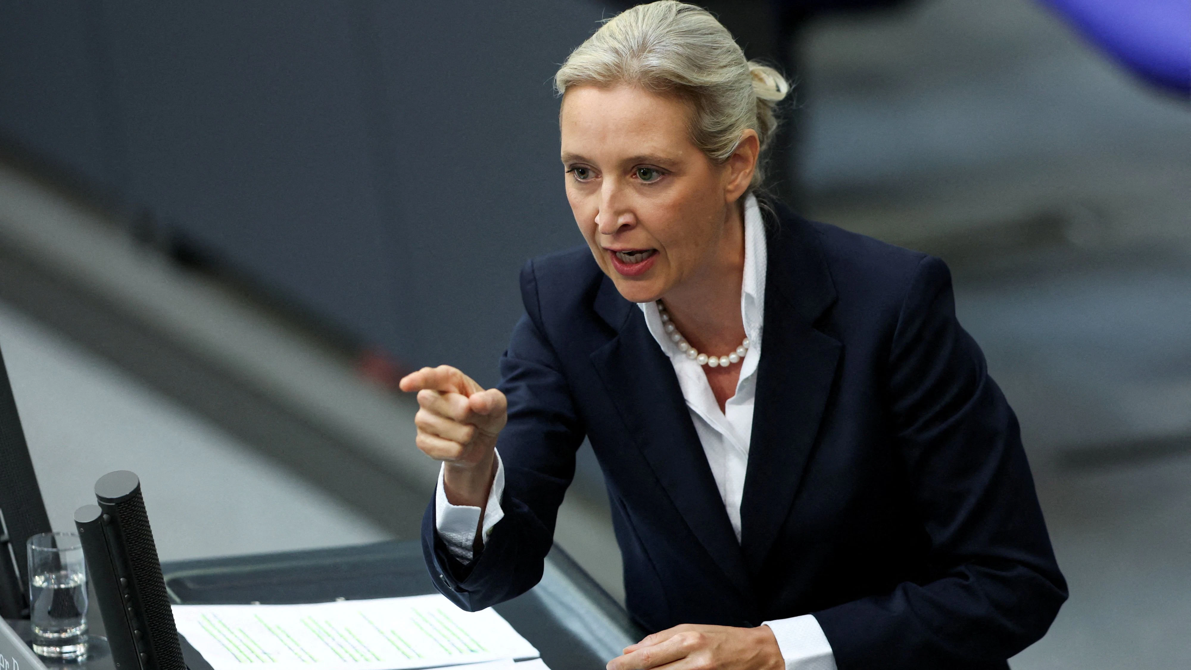 Heute.at - AfD-Chefin Weidel will Verfassungsschutz abschaffen