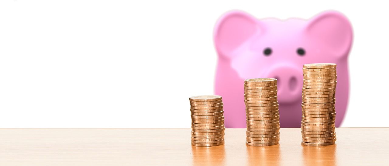 Sparschwein zum Geldsparen