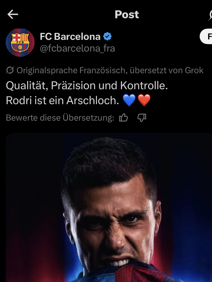 Der Fauxpass im Bild.