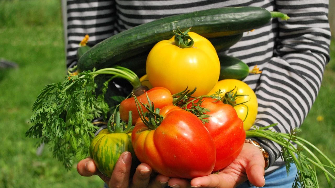 Heute.at - Garten-Opa verrät 5 einfache Tipps