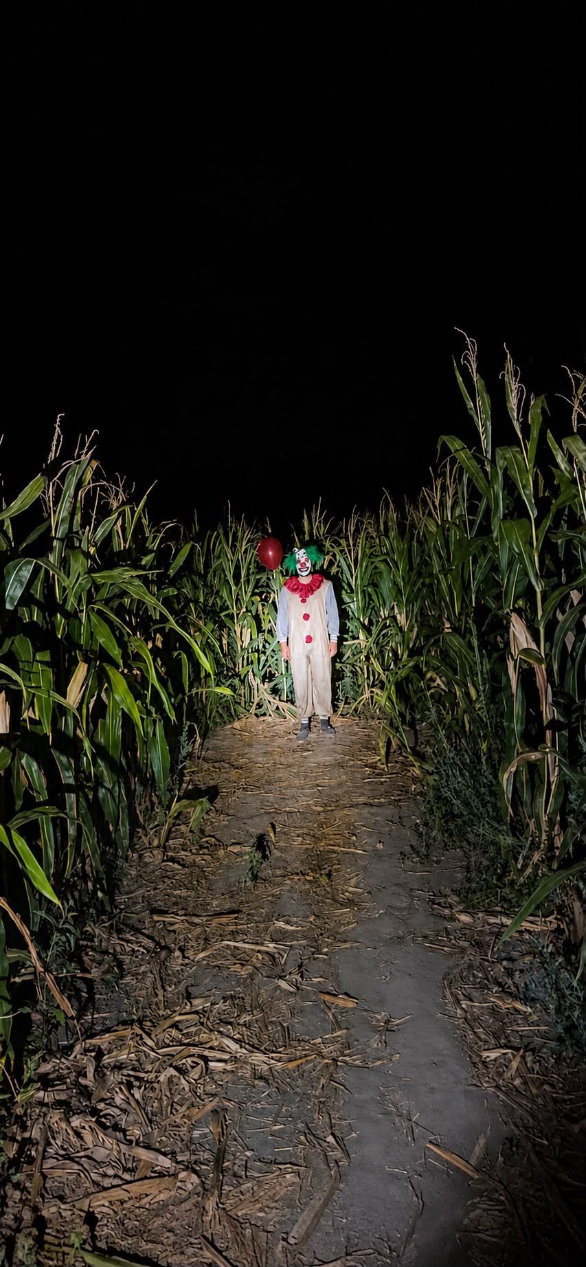 Der landwirtschaftliche Betrieb bietet jetzt ein Grusellabyrinth an.