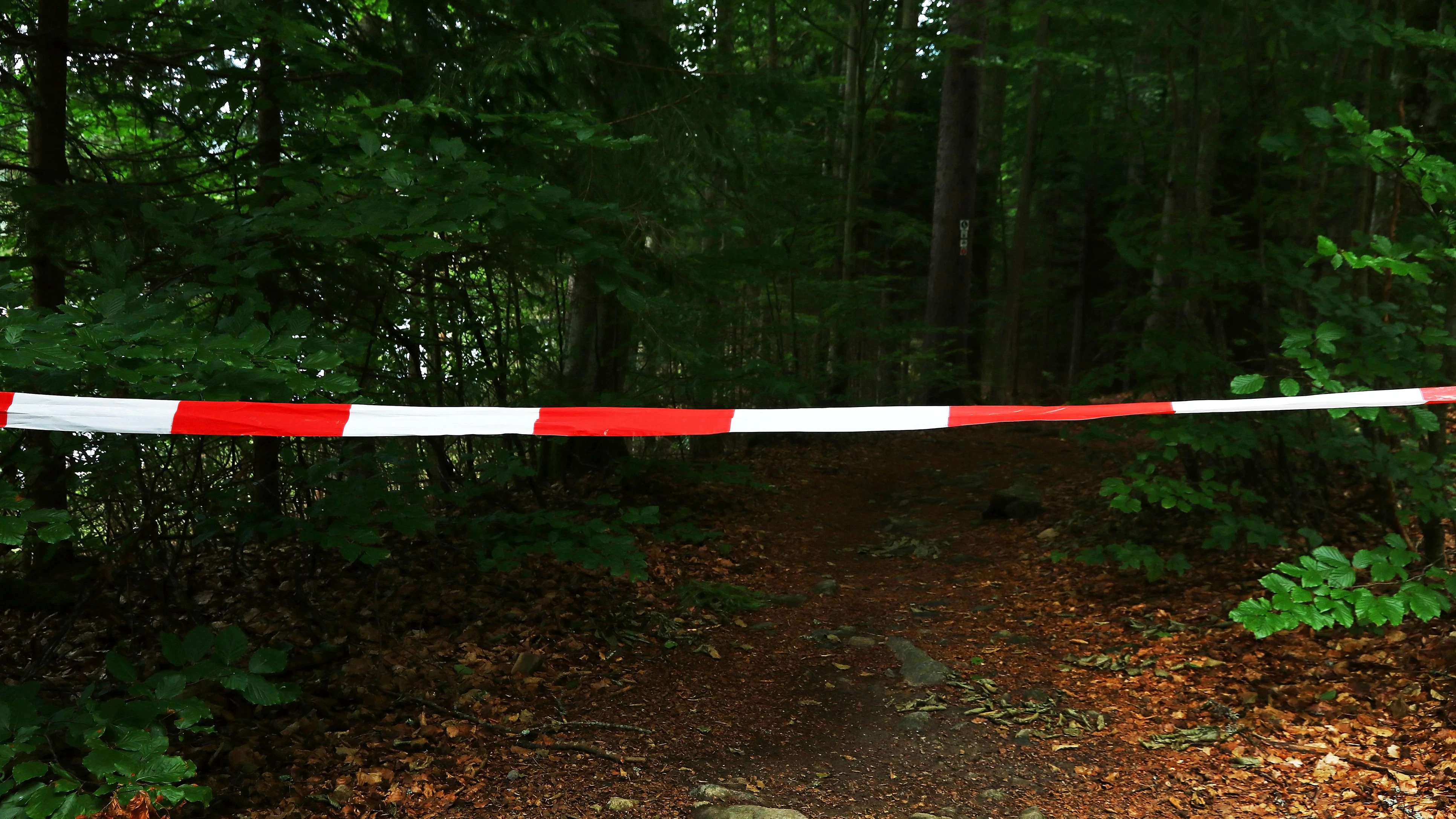 Heute.at - Kind (10) wollte im Wald helfen, jetzt ist es tot