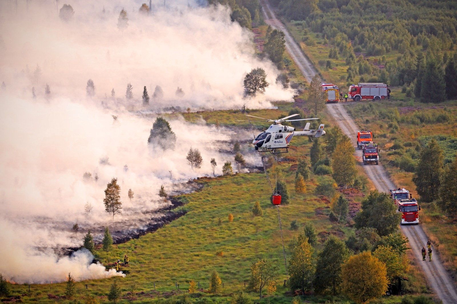 Heute.at - Belgiens größter Waldbrand seit 115 Jahren tobt weiter