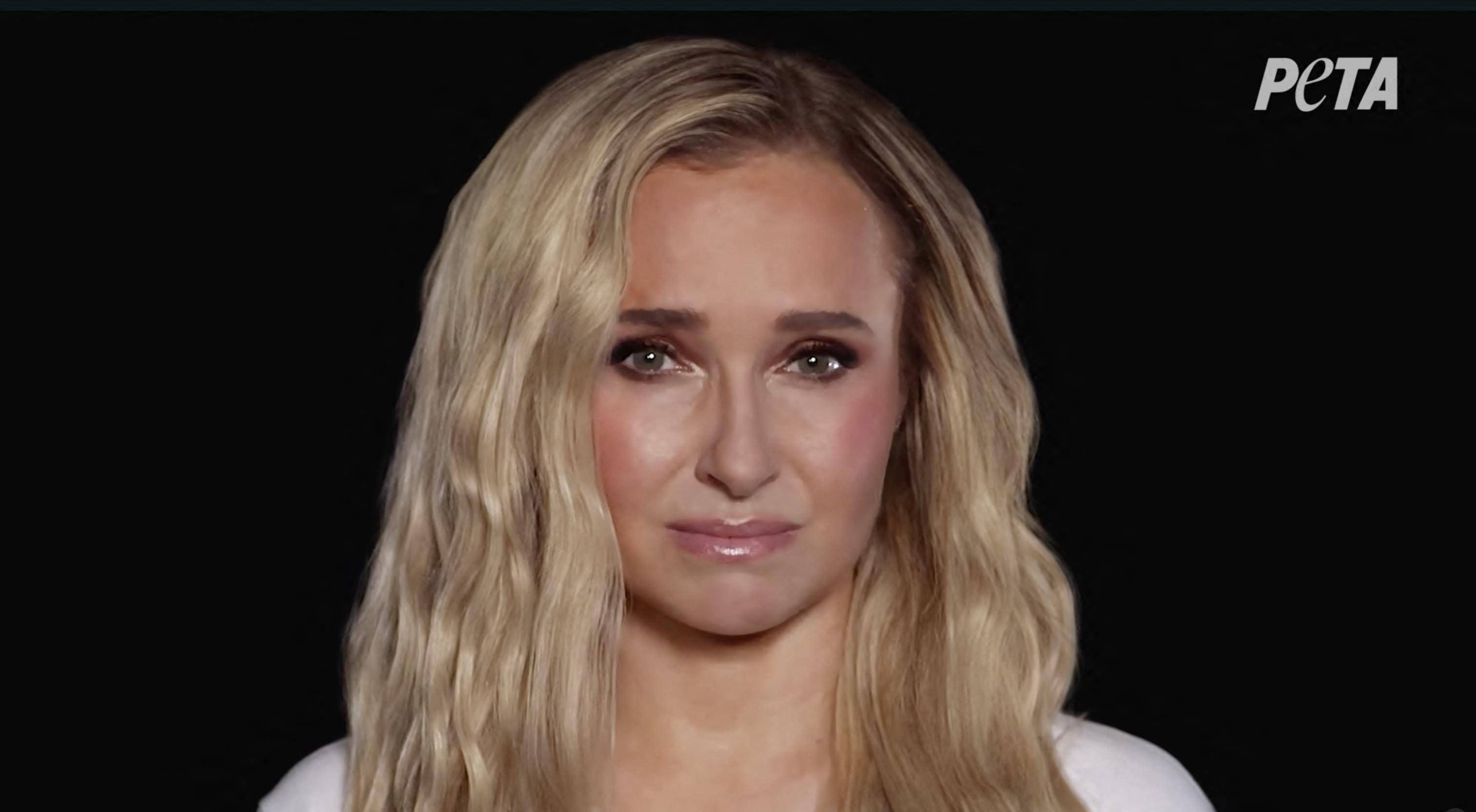 Hayden Panettiere in ihrer letzten Kampagne vor ihrem Tod.