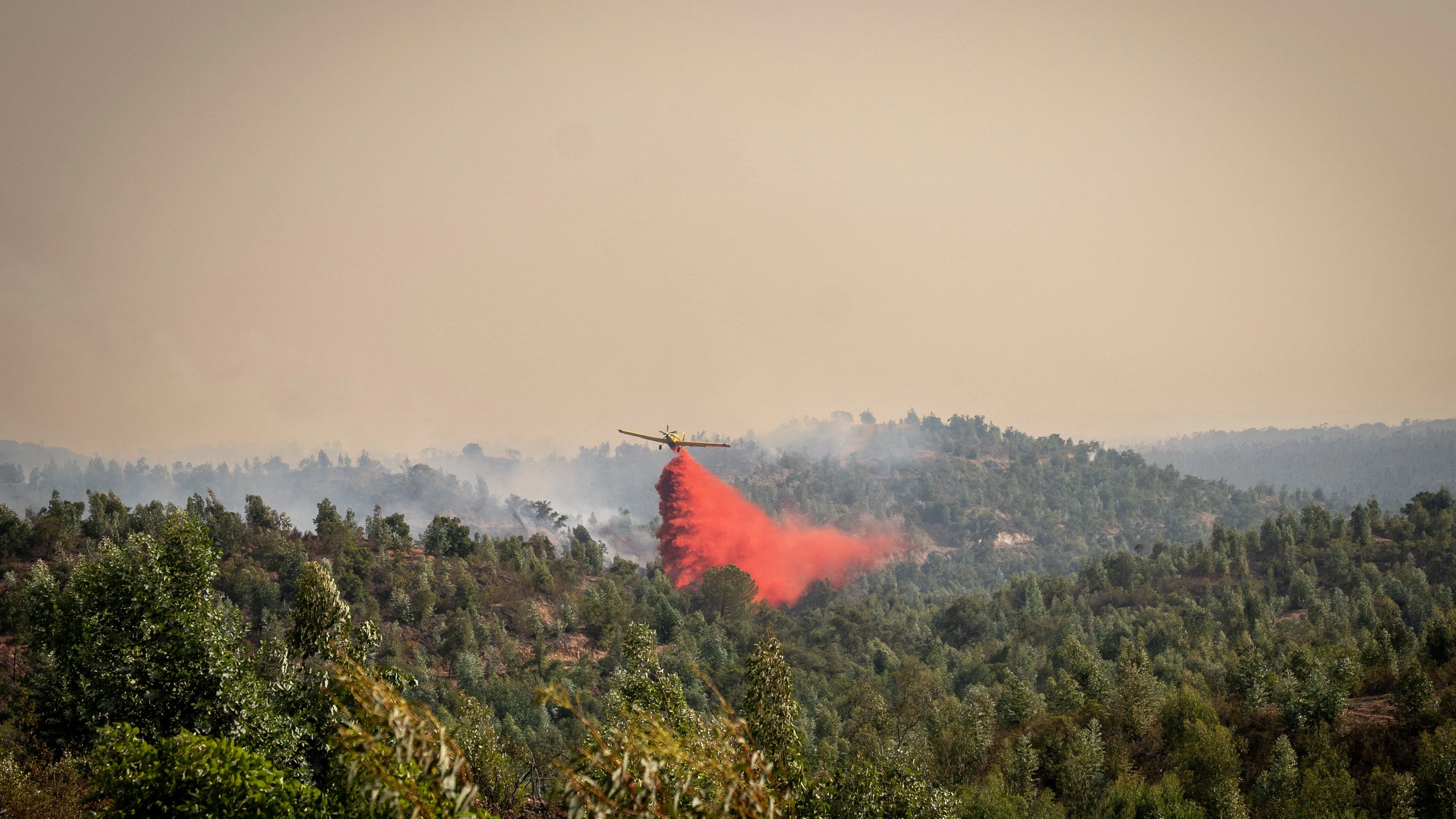 Heute.at - Neuer Waldbrand nahe Madrid – Evakuierungen angeordnet