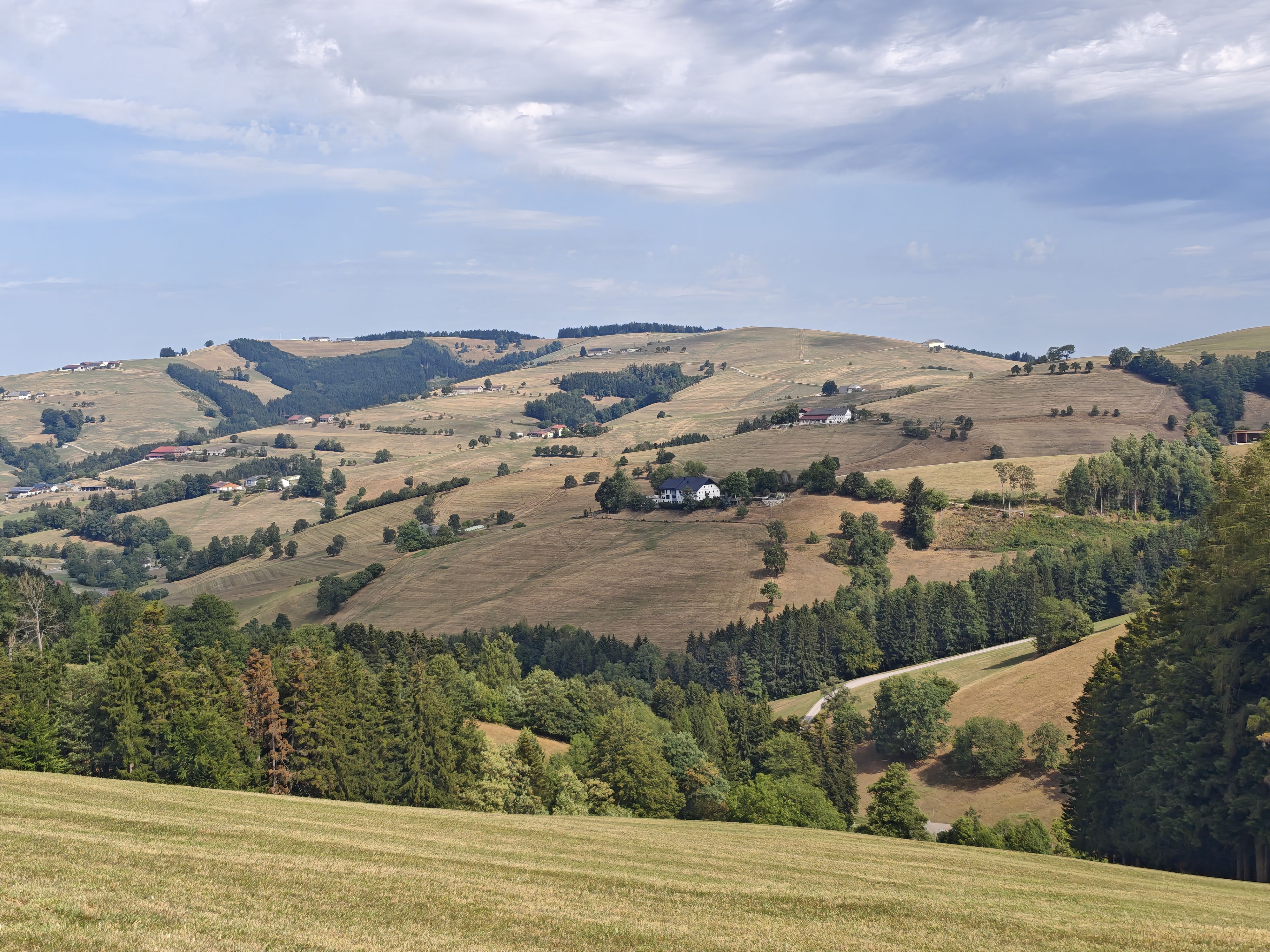 Braune Felder, Ernteausfälle: Die extreme Trockenheit richtete in der Landwirtschaft sichtbare Schäden an.