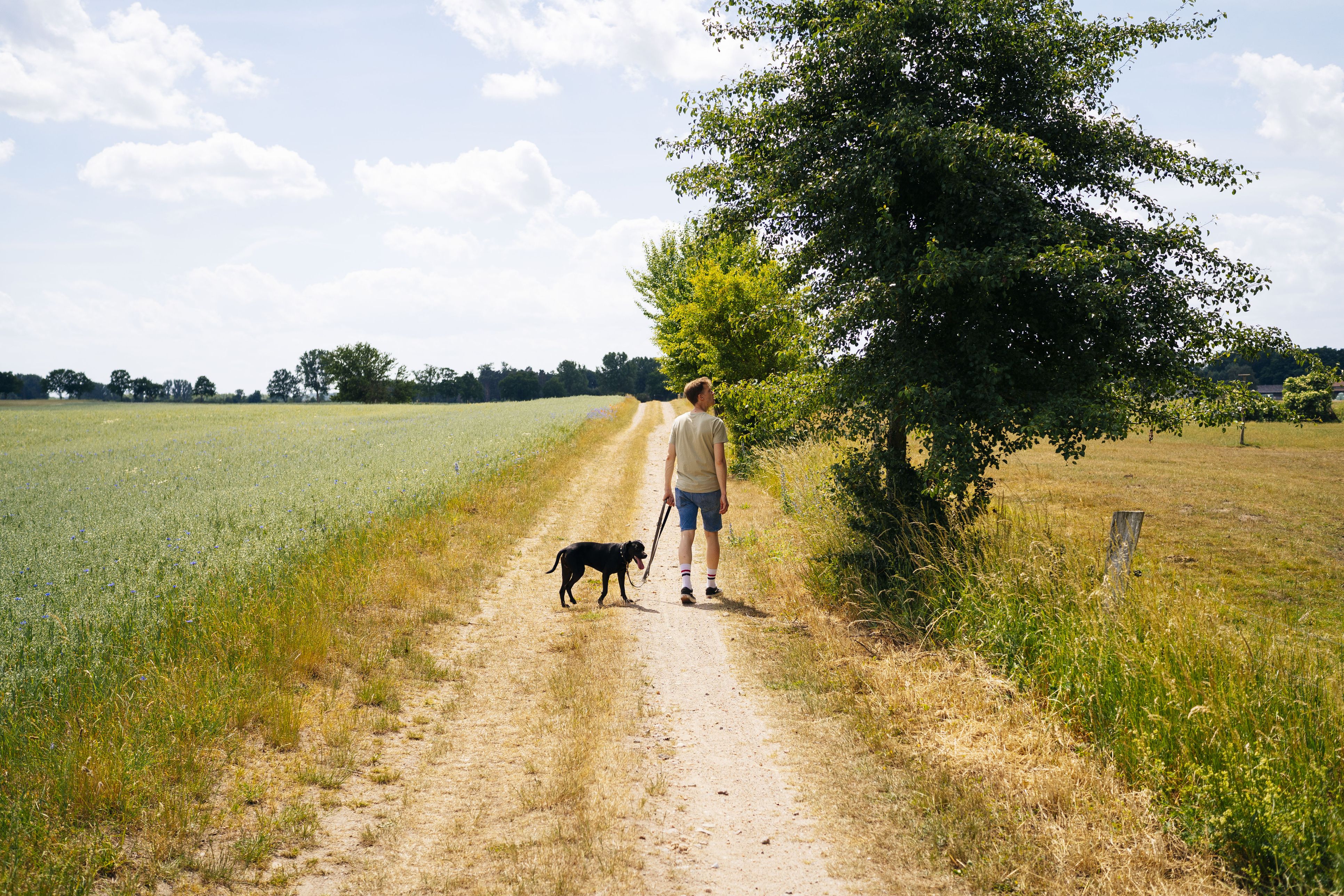 Ein Spaziergang als Kalorien-Burner? Mit Tempo und kleinen Extras kannst du deine gewohnte Runde ordentlich aufpeppen.