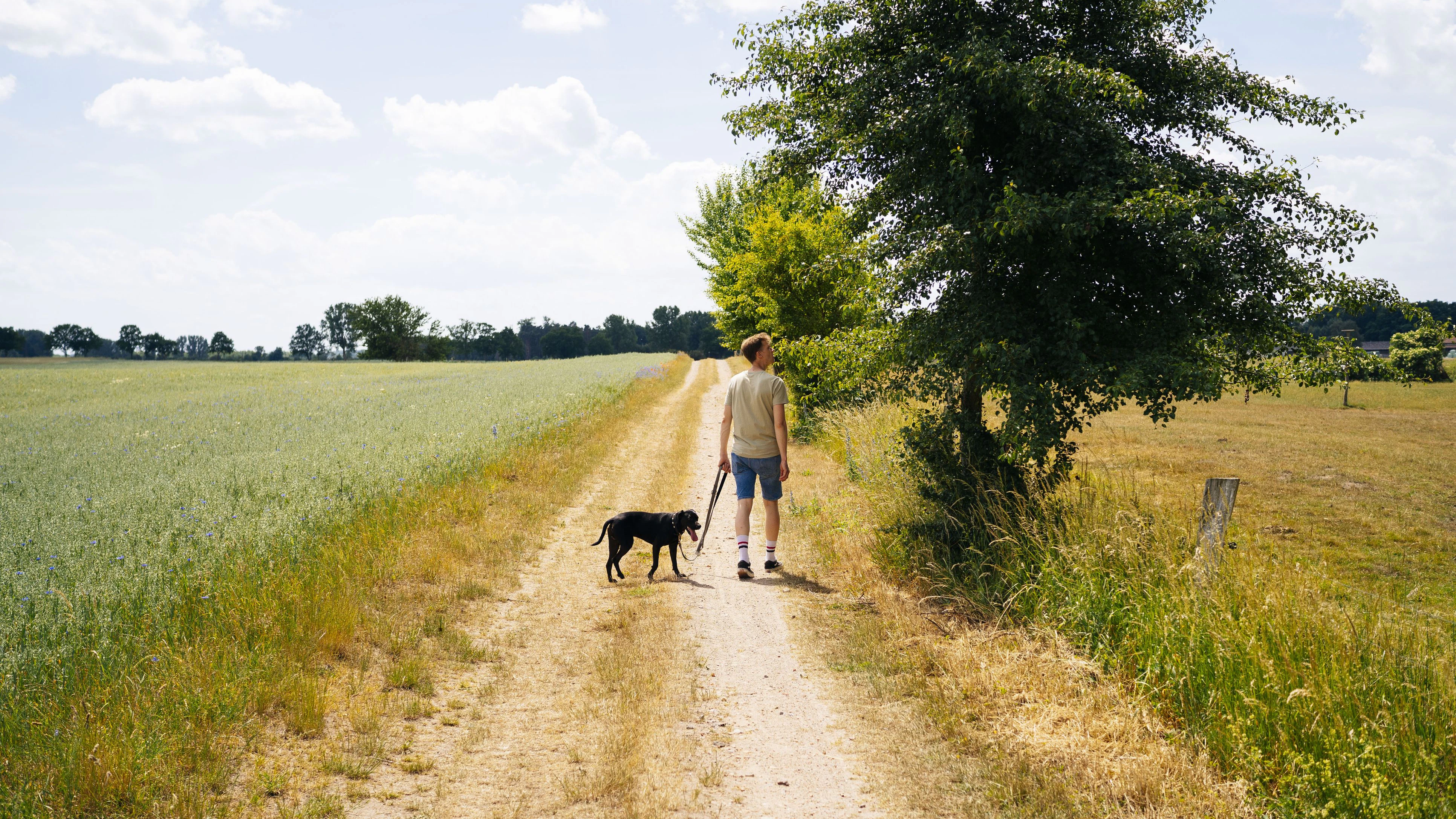 Ein Spaziergang als Kalorien-Burner? Mit Tempo und kleinen Extras kannst du deine gewohnte Runde ordentlich aufpeppen.