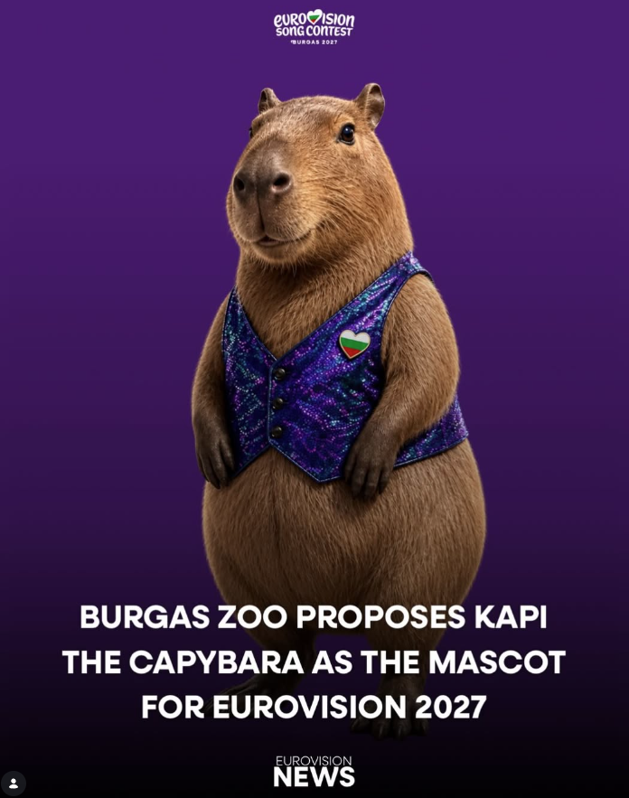 Kapi Capybara – Bewerber als Maskottchen für den ESC 2027