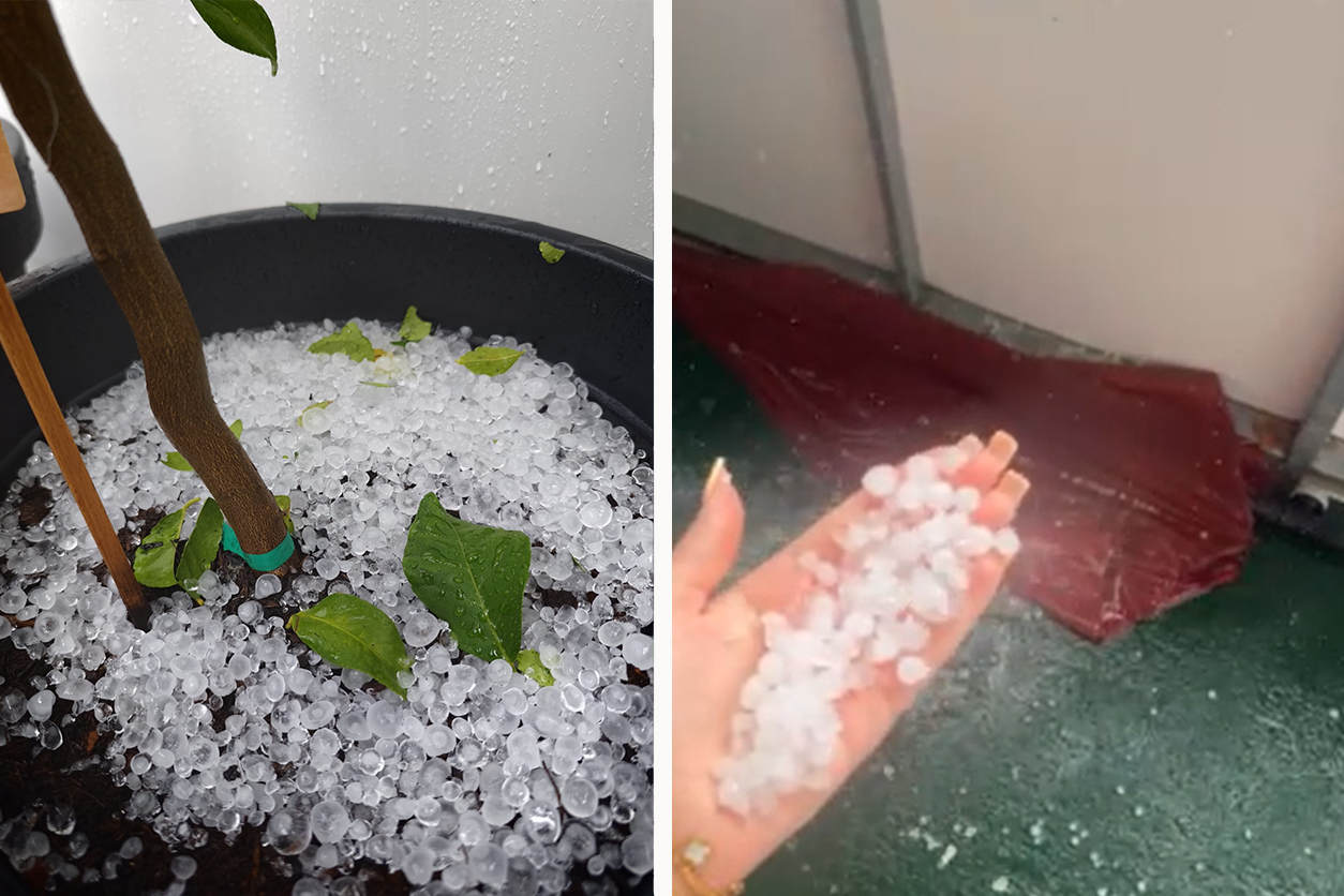 Heute.at - Hagel prasselt auf Wien – Bezirke plötzlich weiß