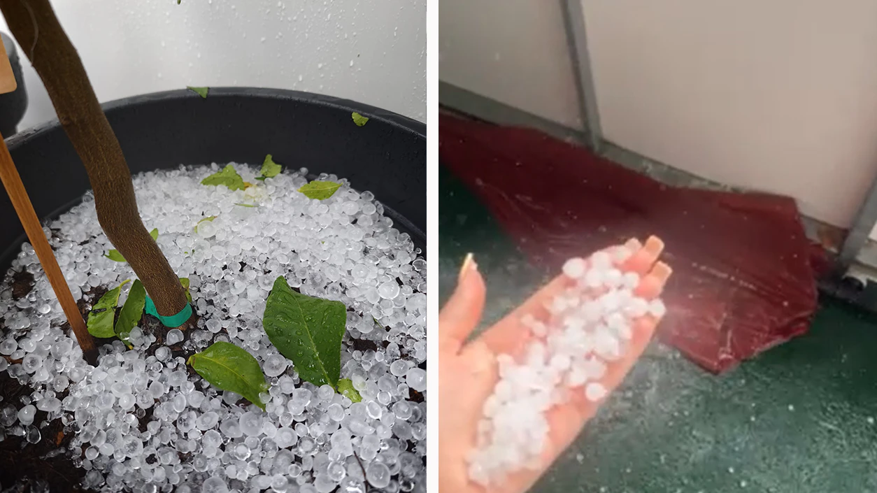 Heute.at - Hagel prasselt auf Wien – Bezirke plötzlich weiß