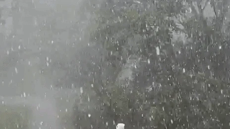 Heute.at - Unwetter-Alarm! Hagel-Sturm wütet jetzt in Wien