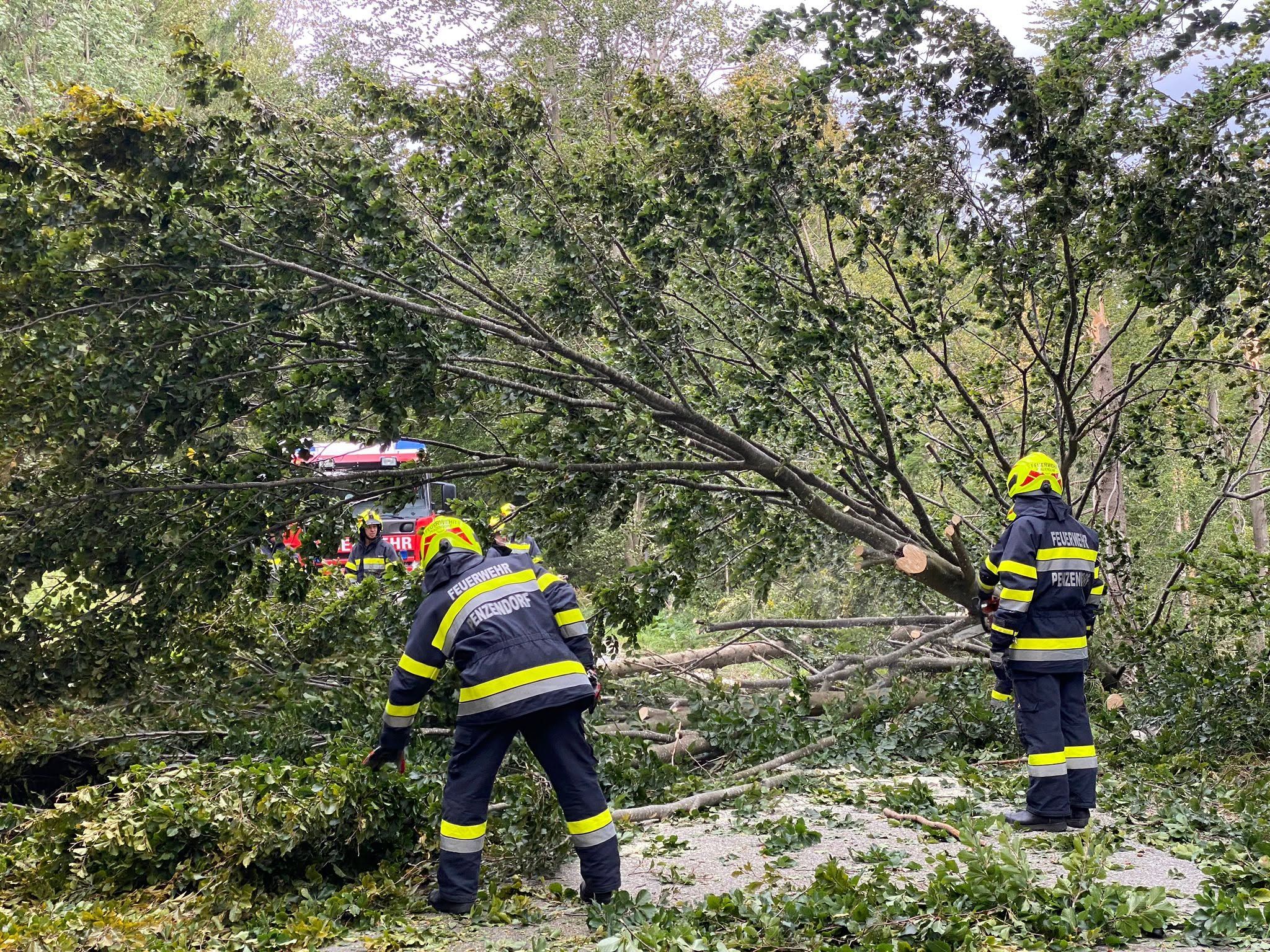 Steiermarkweit sind mehreren Hundert Feuerwehrmitglieder im Einsatz. (Symbolbild).