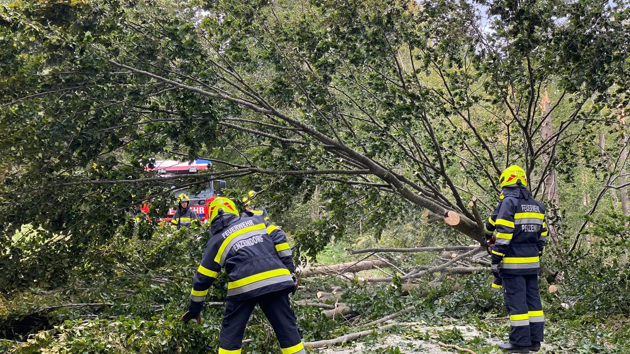 Feuerwehreinsatz Steiermark