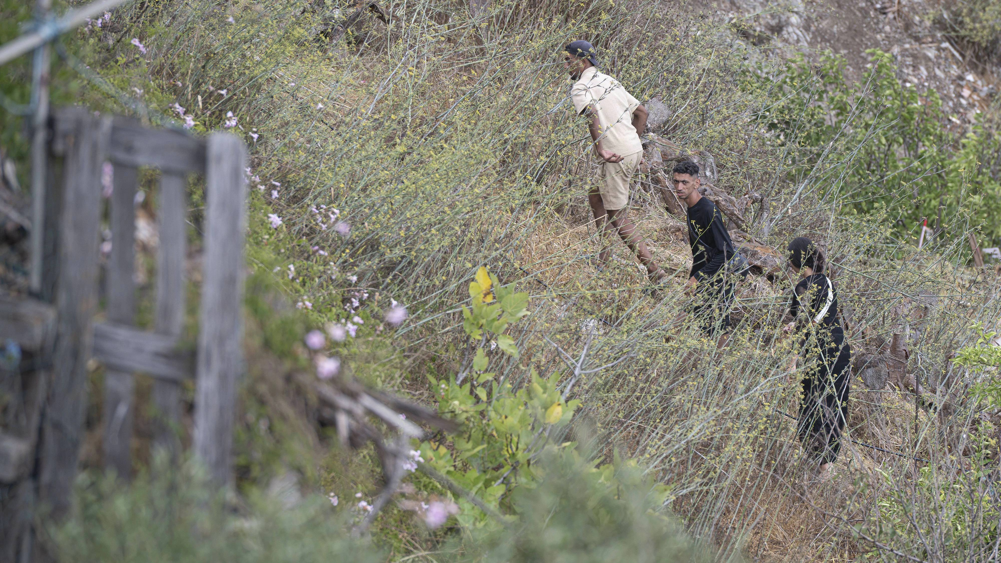 Einige Migranten verstecken sich in den Wäldern um Ceuta.