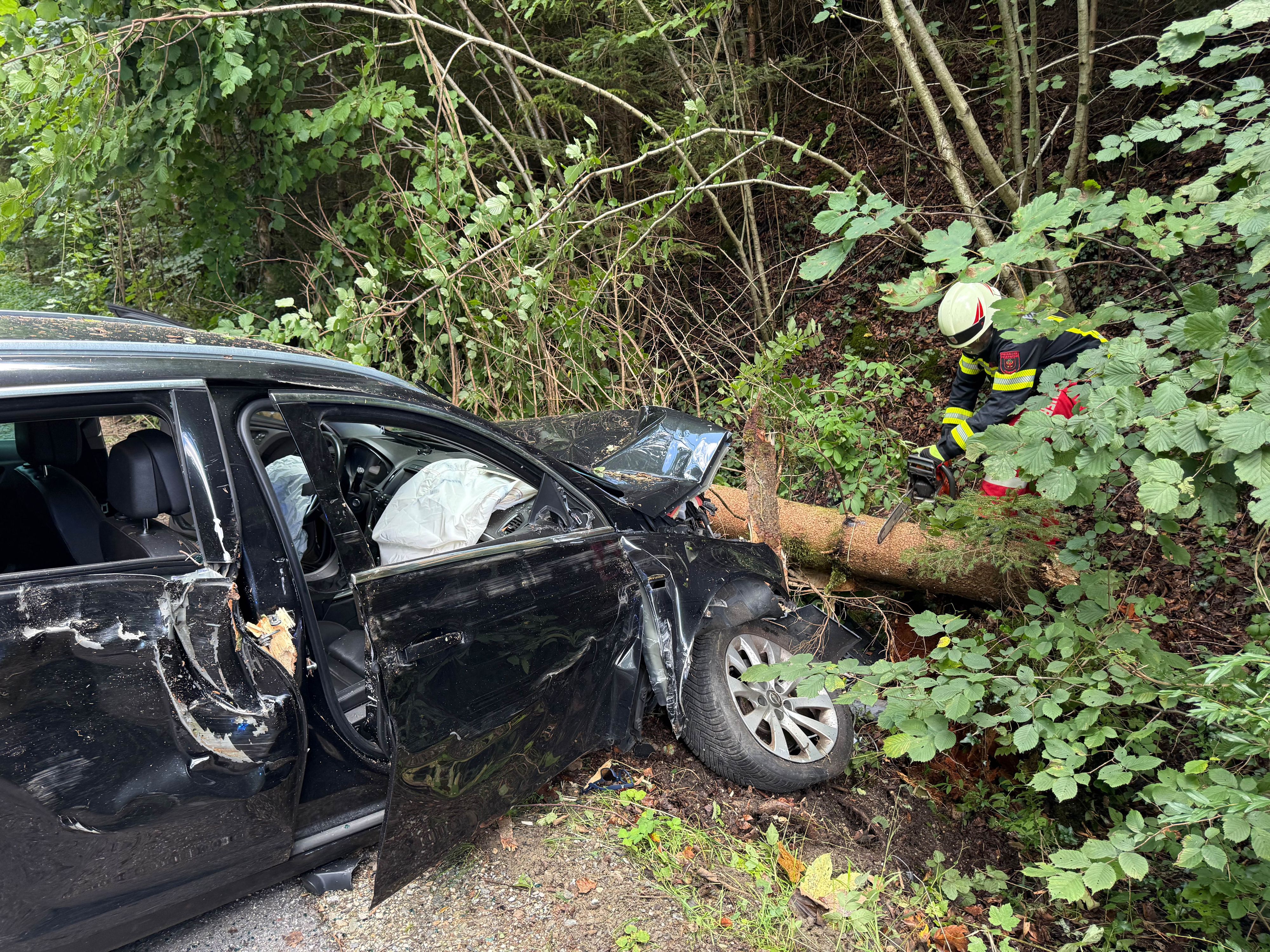 Heute.at - Alko-Lenker crasht in Baum – Führerschein ist weg
