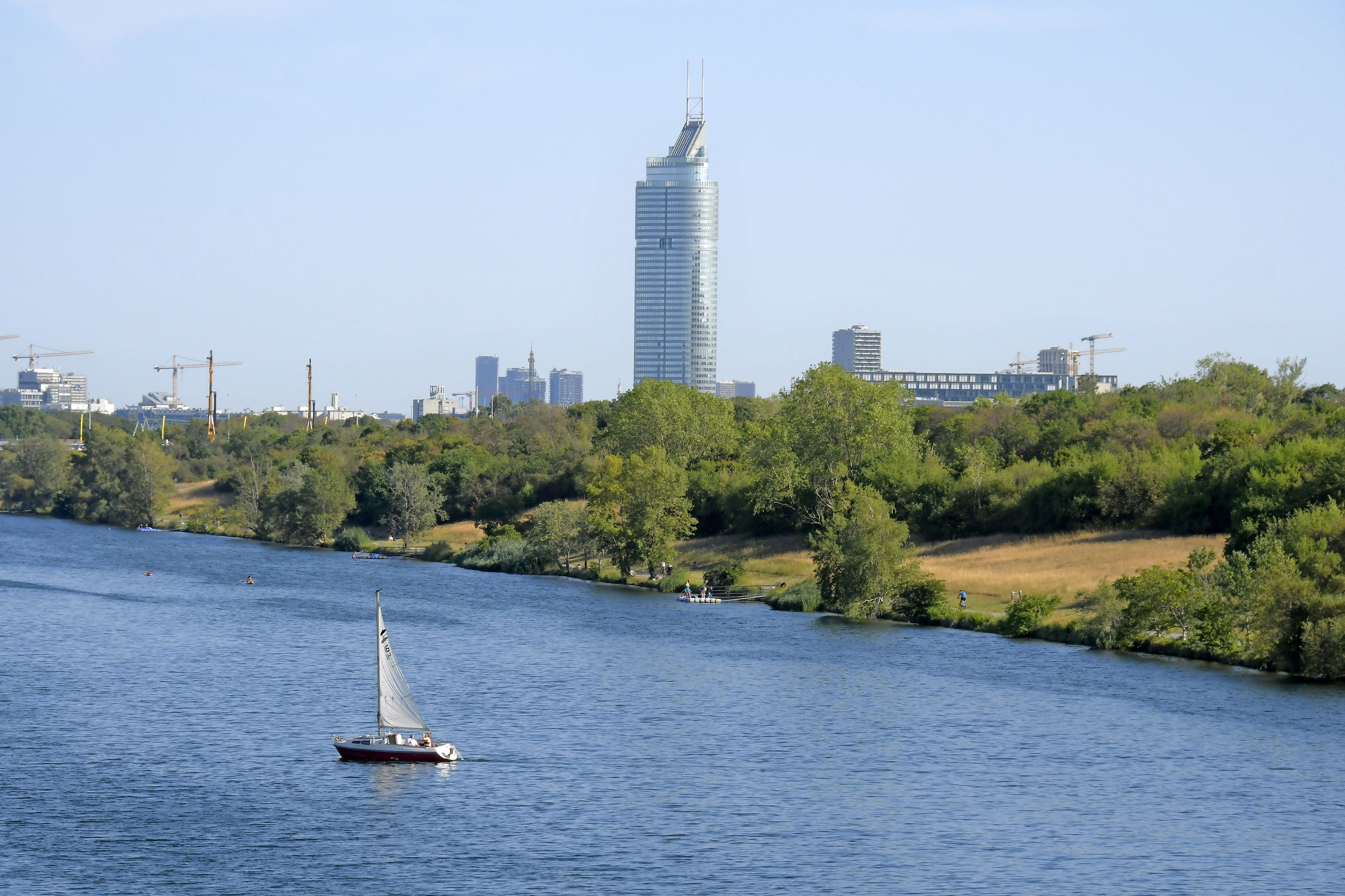 In der Neuen Donau in Wien breiten sich jetzt XXL-Fische aus. (Symbolbild)
