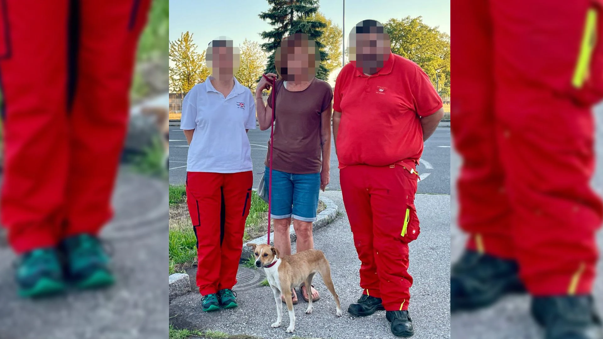 Durch die Hilfe des Bundesheeres konnte Paulsa Besitzerin ihre Hündin endlich wieder mit nach Hause nehmen.