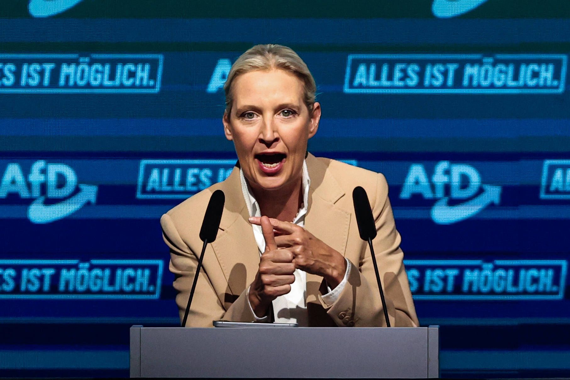 AfD-Chefin Alice Weidel möchte den Euro abschaffen.
