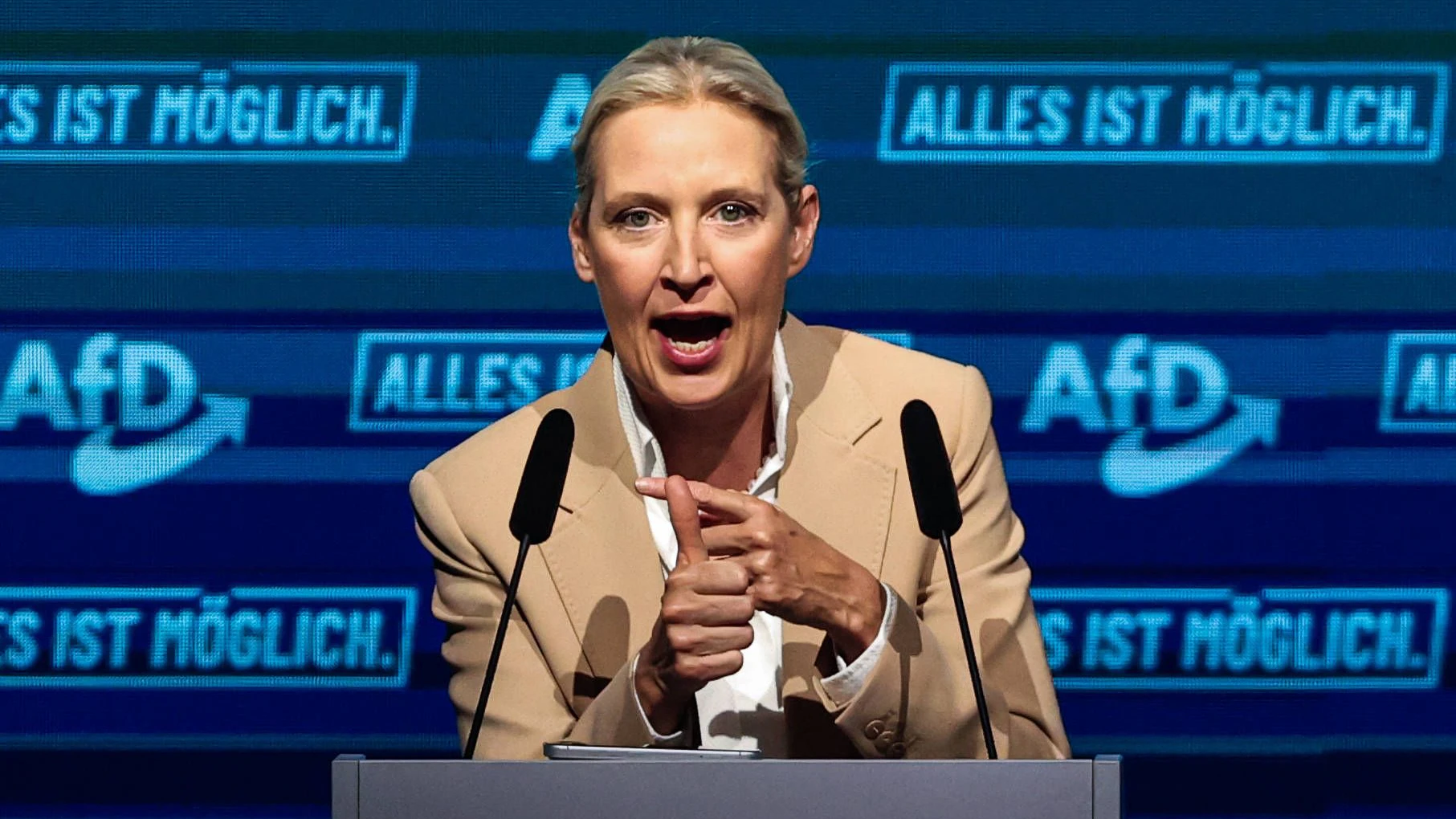Heute.at - AfD kündigt an: Euro weg, Schengen-Aus, Syrer zurück