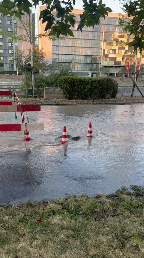 Am Sonntag mussten mehrere Einsatzkräfte der Wiener Berufsfeuerwehr sowie der Wiener Wasser ausrücken.