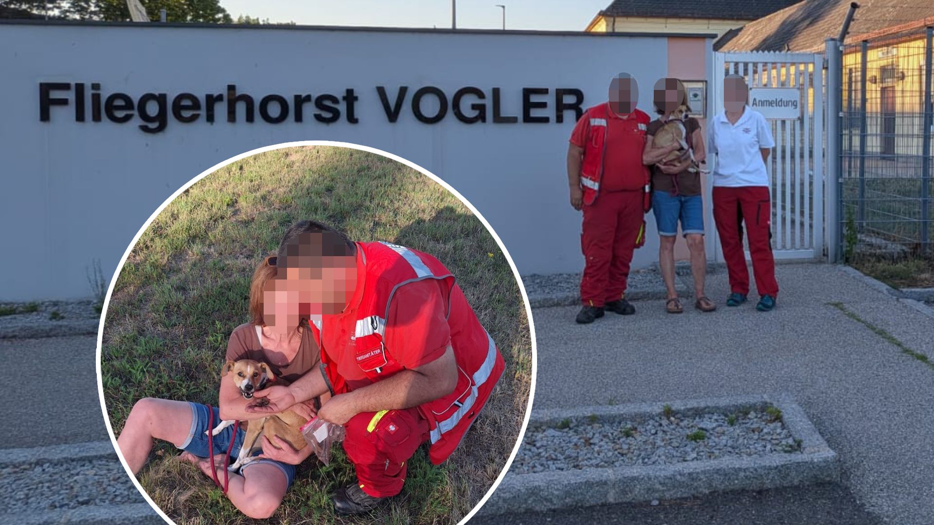 Heute.at - Sogar Bundesheer hilft bei Suche nach Hündin Paula