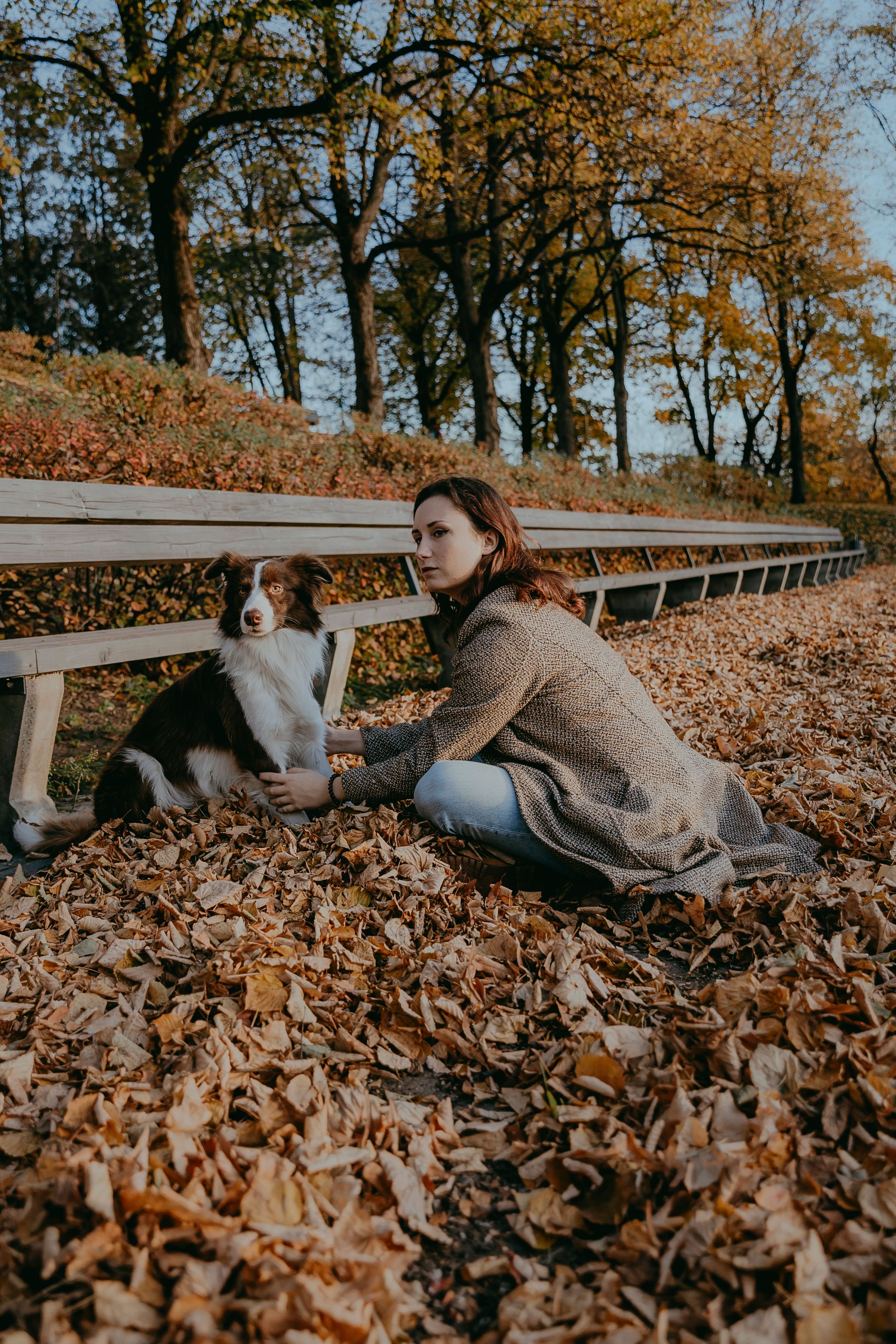 Heute.at - Studie: Frau muss sich beim Hund um alles kümmern