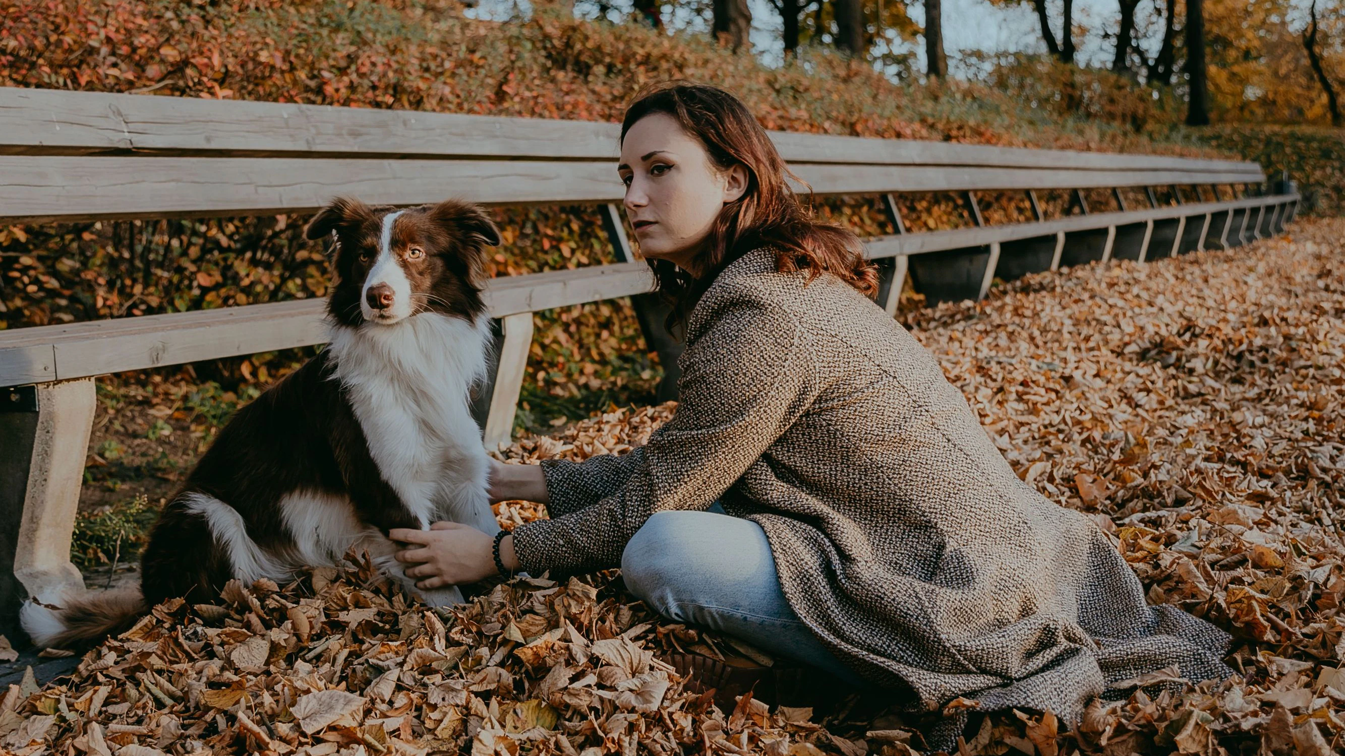 Den Löwenanteil der Erziehung und Pflege des Hundes trägt die Frau. 