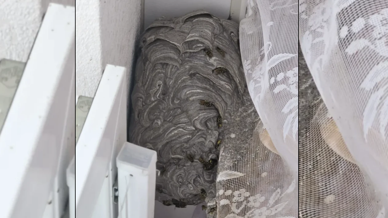 Heute.at - Frau ist fassungslos, was sie in Schlafzimmer findet